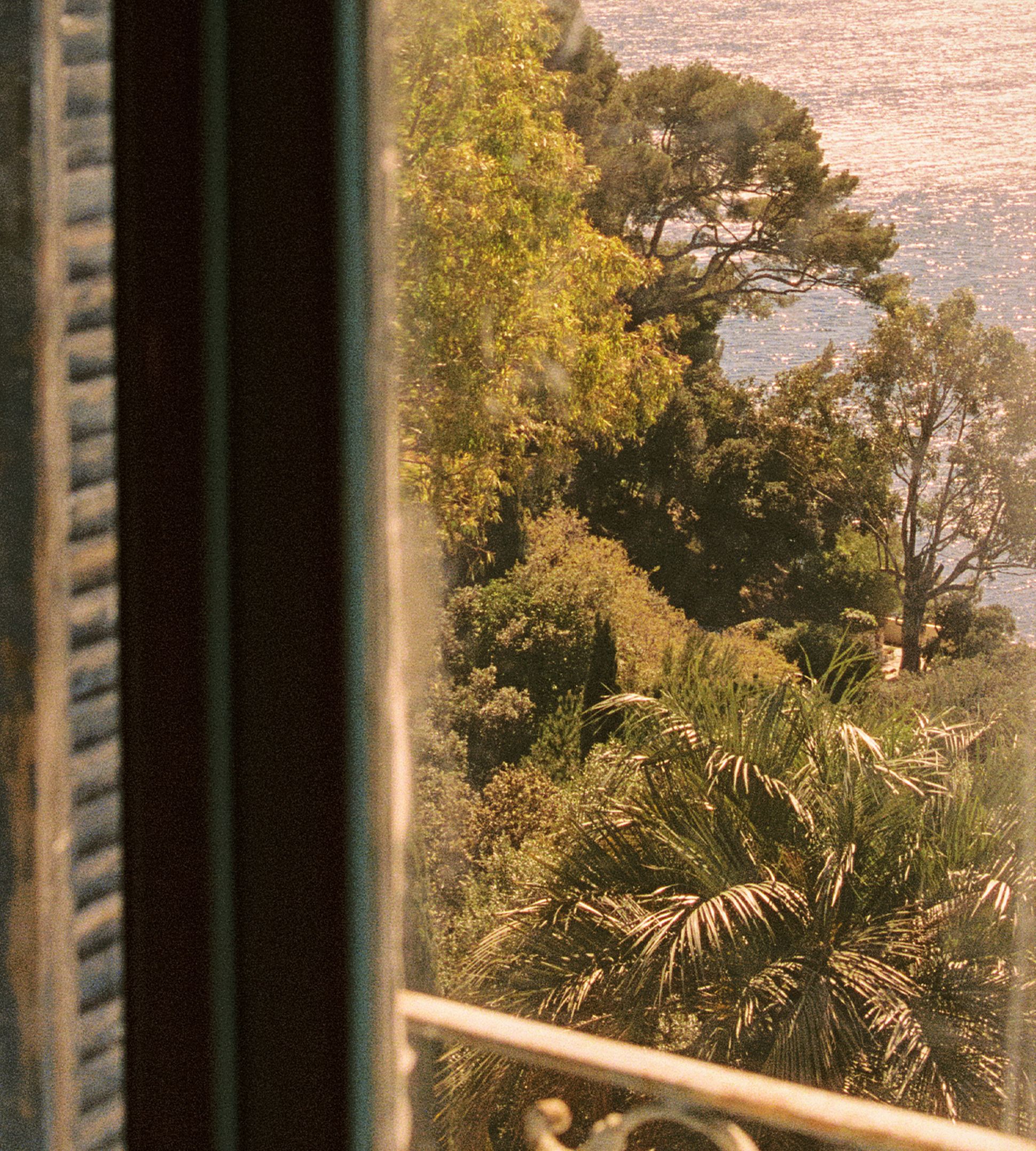 Vue depuis une fenêtre sur une végétation luxuriante composée d'arbres et de plantes, avec, en arrière-plan, les reflets du soleil sur l'eau.