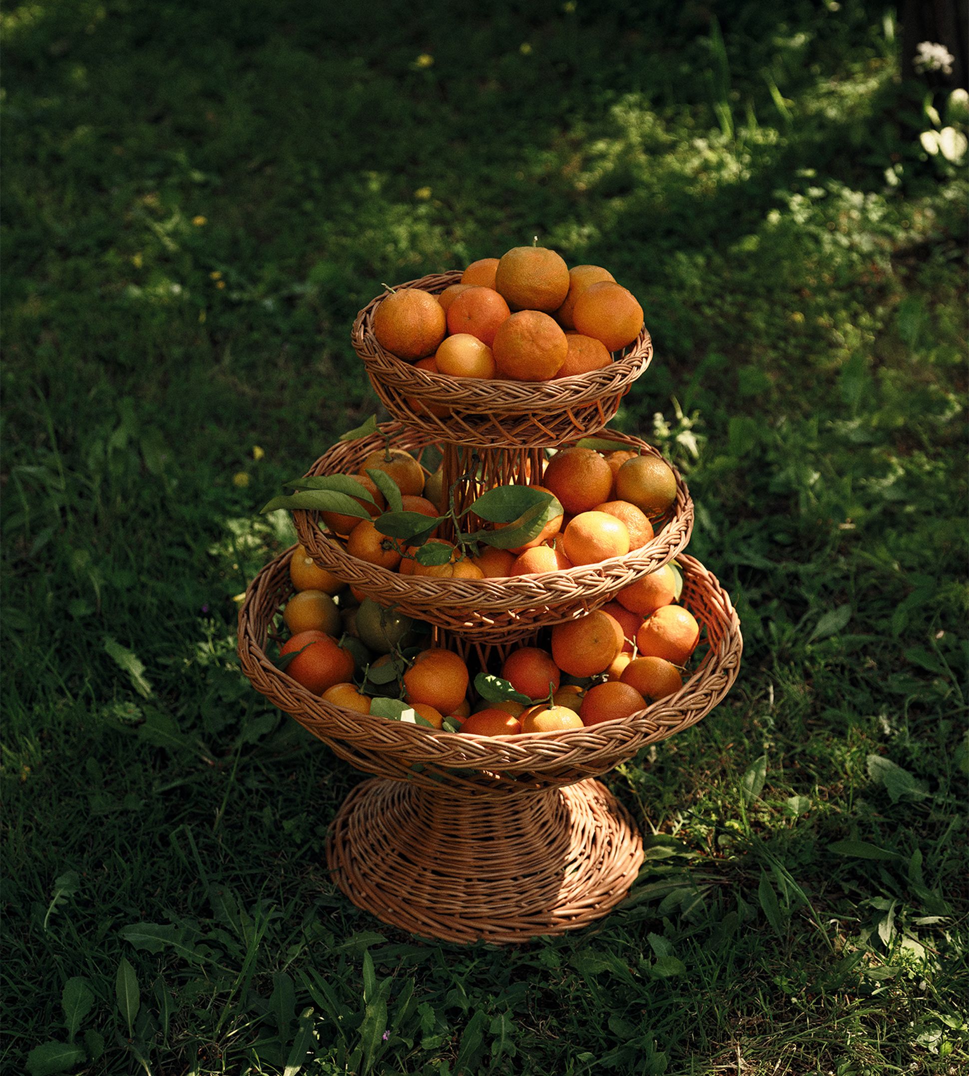 Un panier en osier à trois étages rempli d'oranges et de feuilles vertes, posé sur l'herbe baignée par les rayons du soleil.