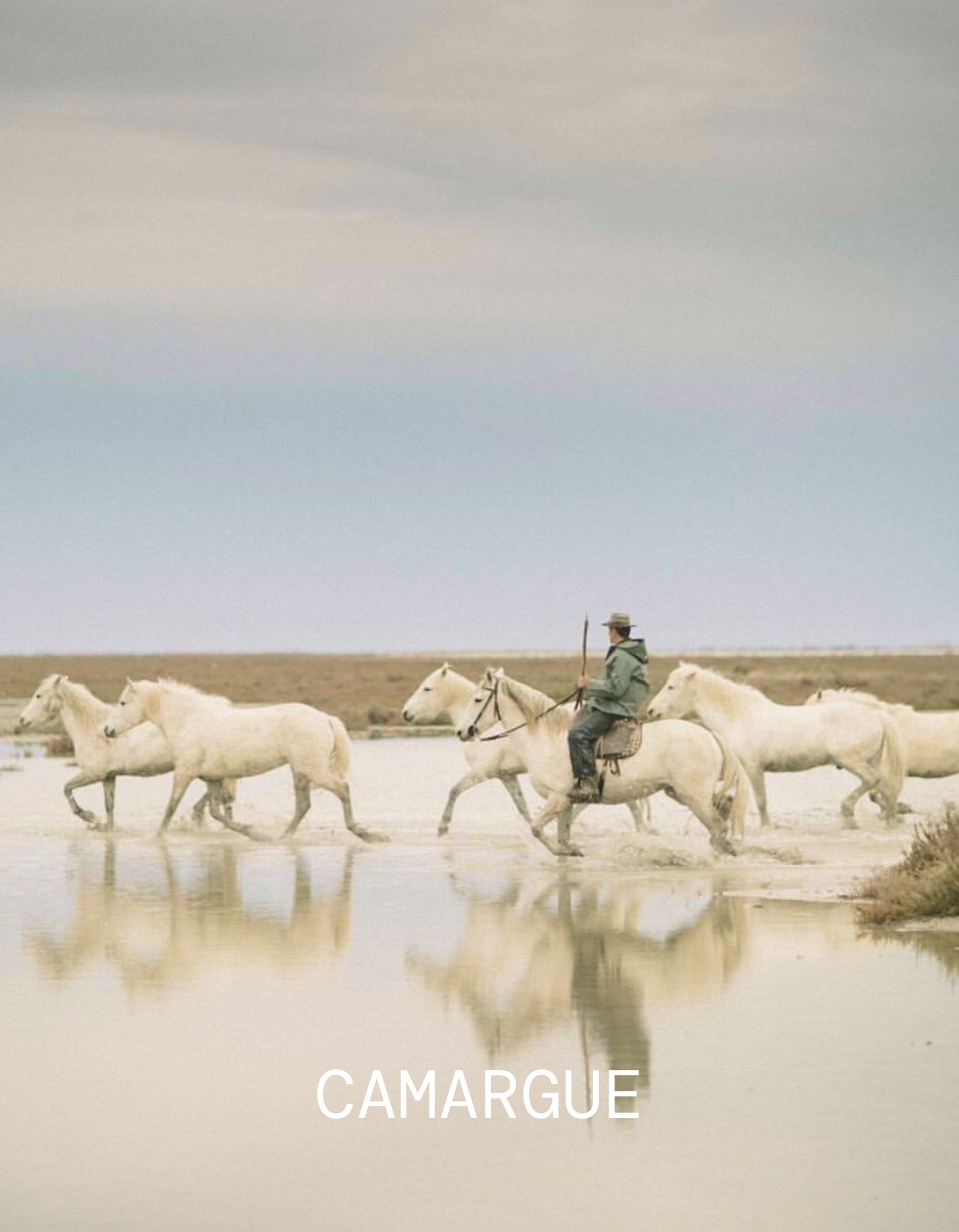 paysages de Camargue