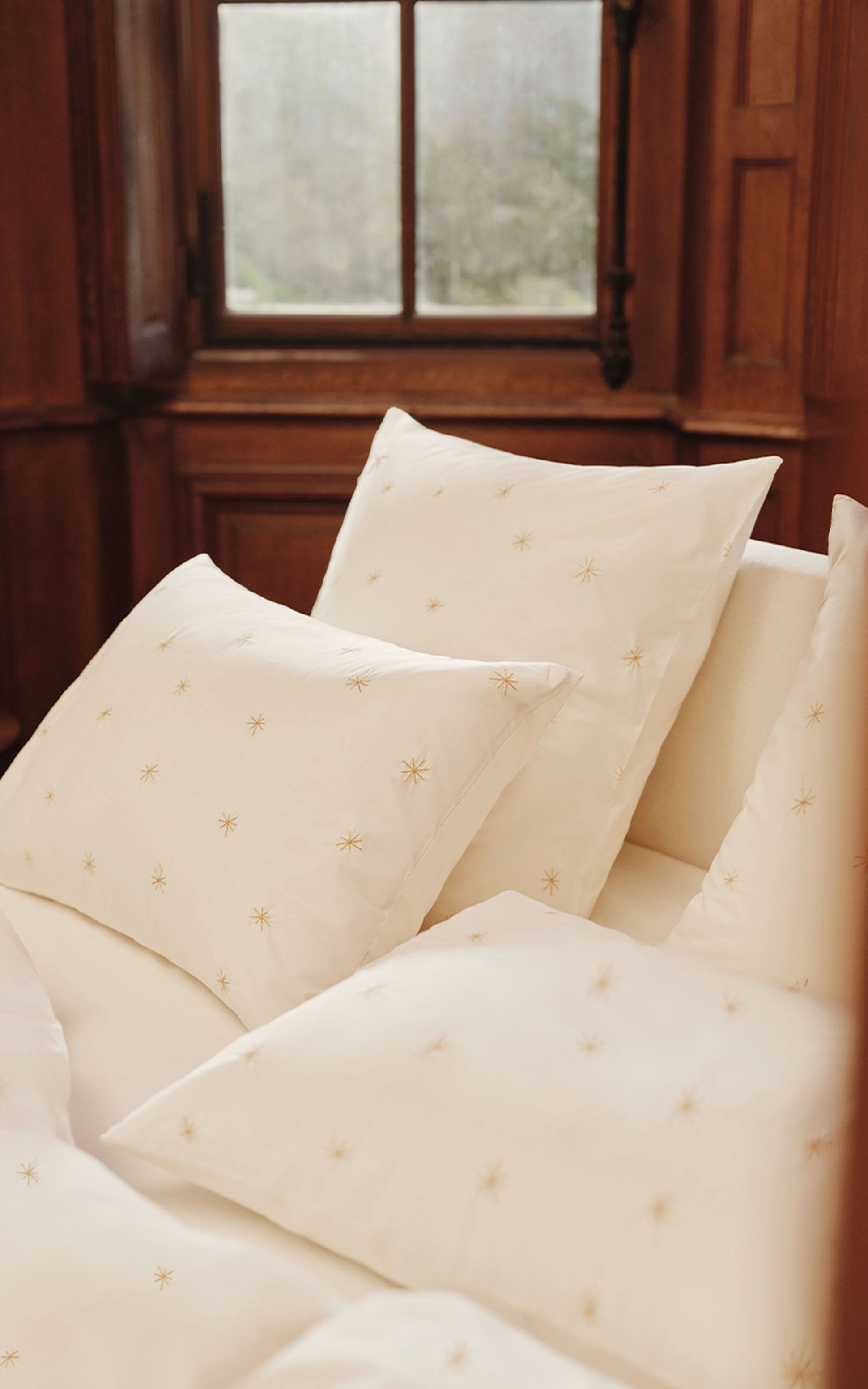 étoile d'or Bonsoirs