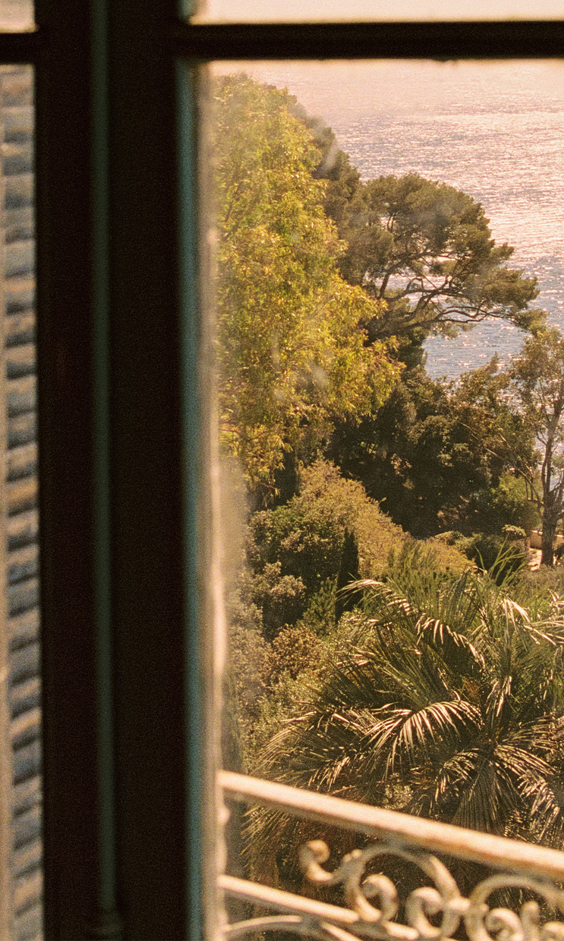 Vue à travers une fenêtre sur une végétation luxuriante et des arbres au bord d'un plan d'eau scintillant, avec une balustrade métallique partiellement visible.