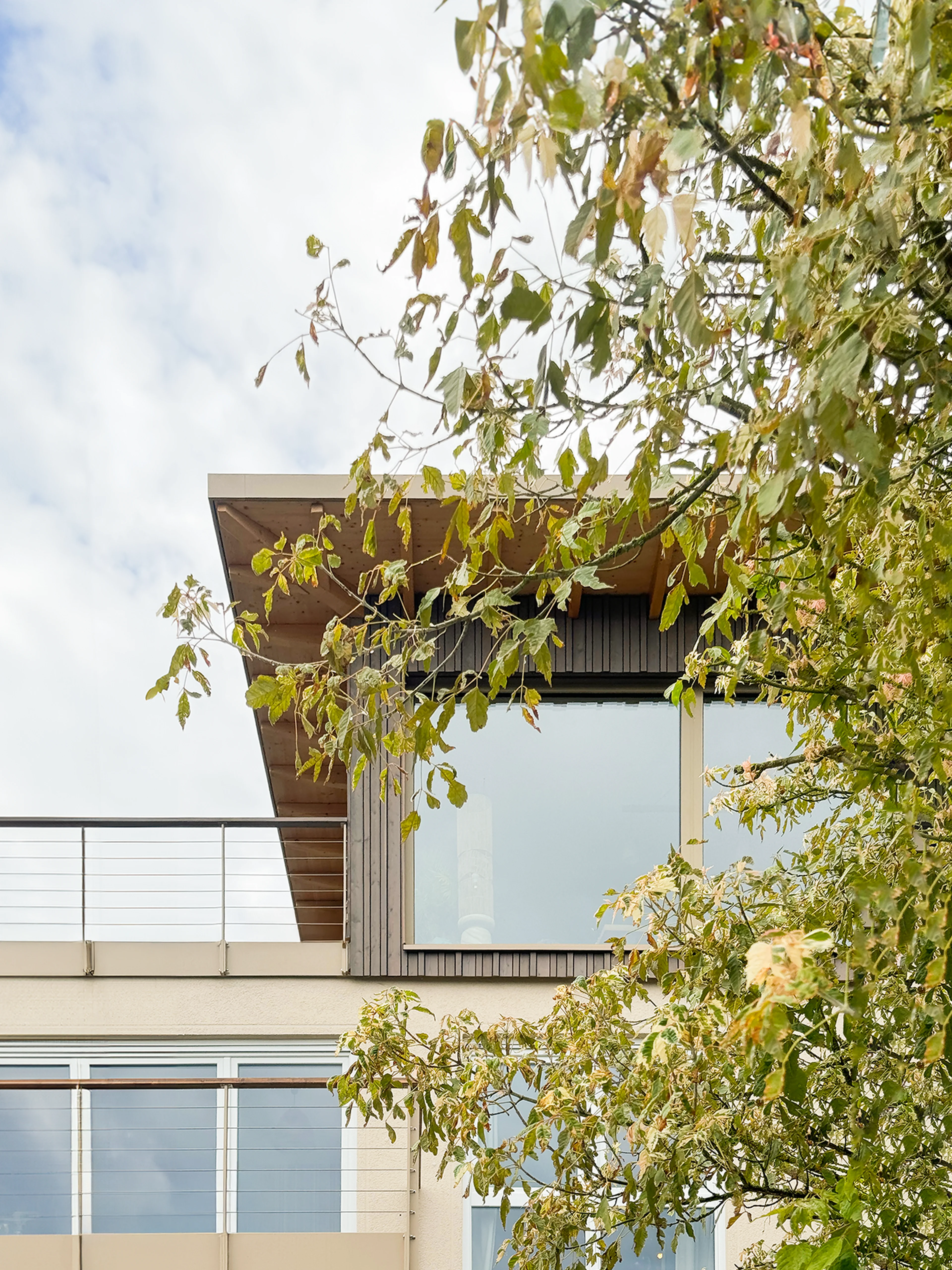 Einfamilienhaus in Michelstadt - Hamm Architekten - Außenbereich 3