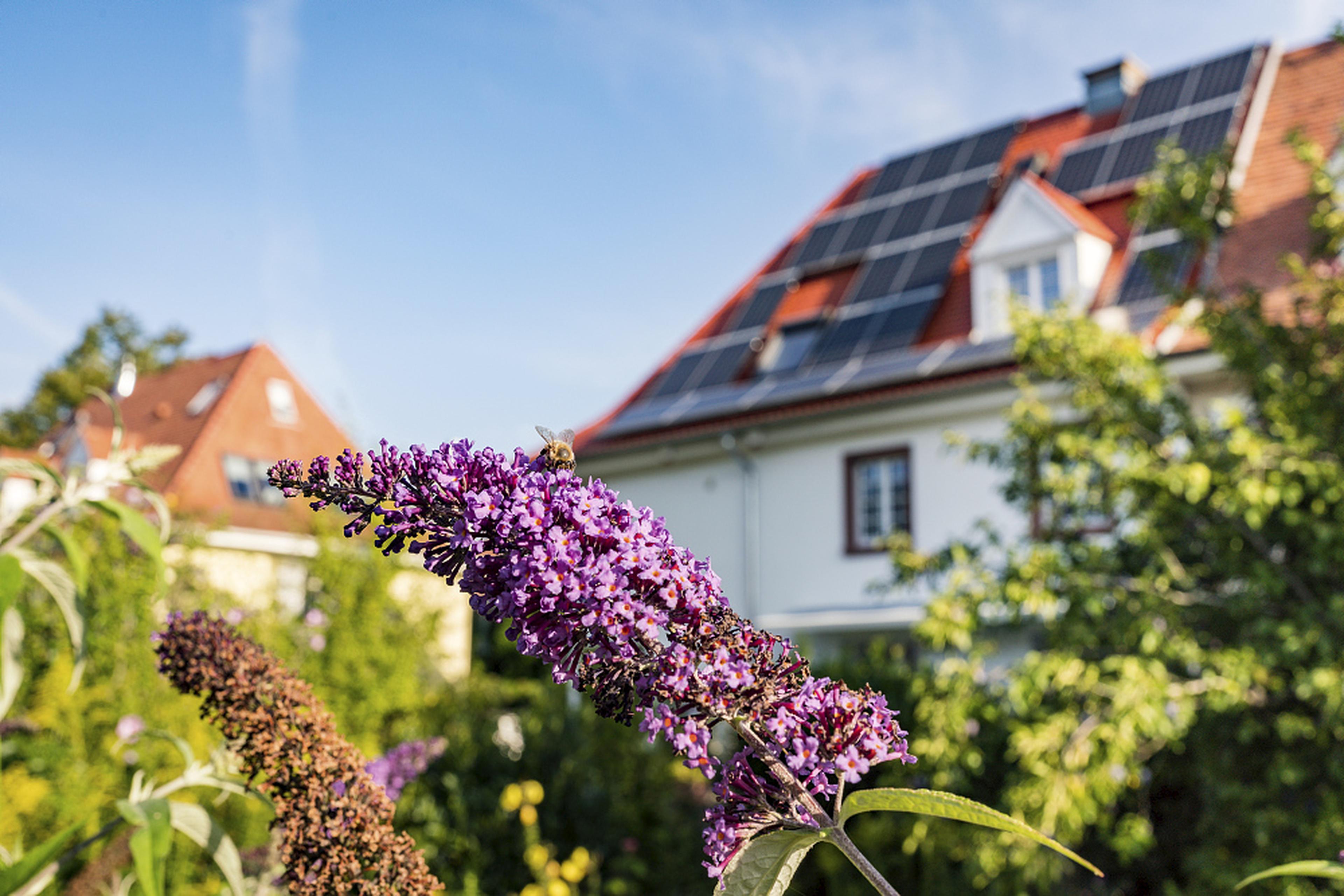 Haus im Sommer mit Solarpanellen und blühendem Garten