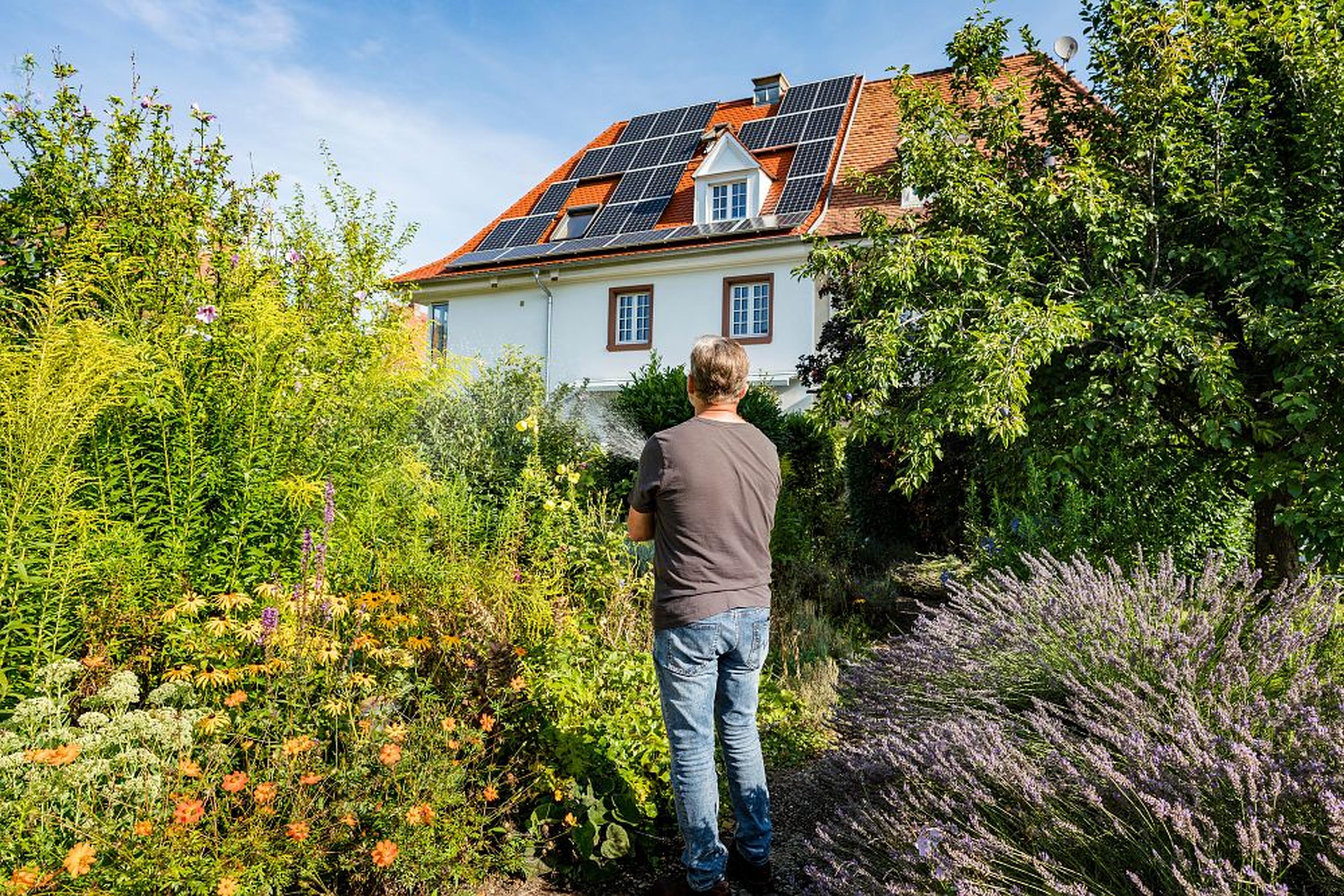 Ein Mann steht in einem blühenden Garten und blickt auf ein Haus mit Photovoltaikanlage auf dem Dach.