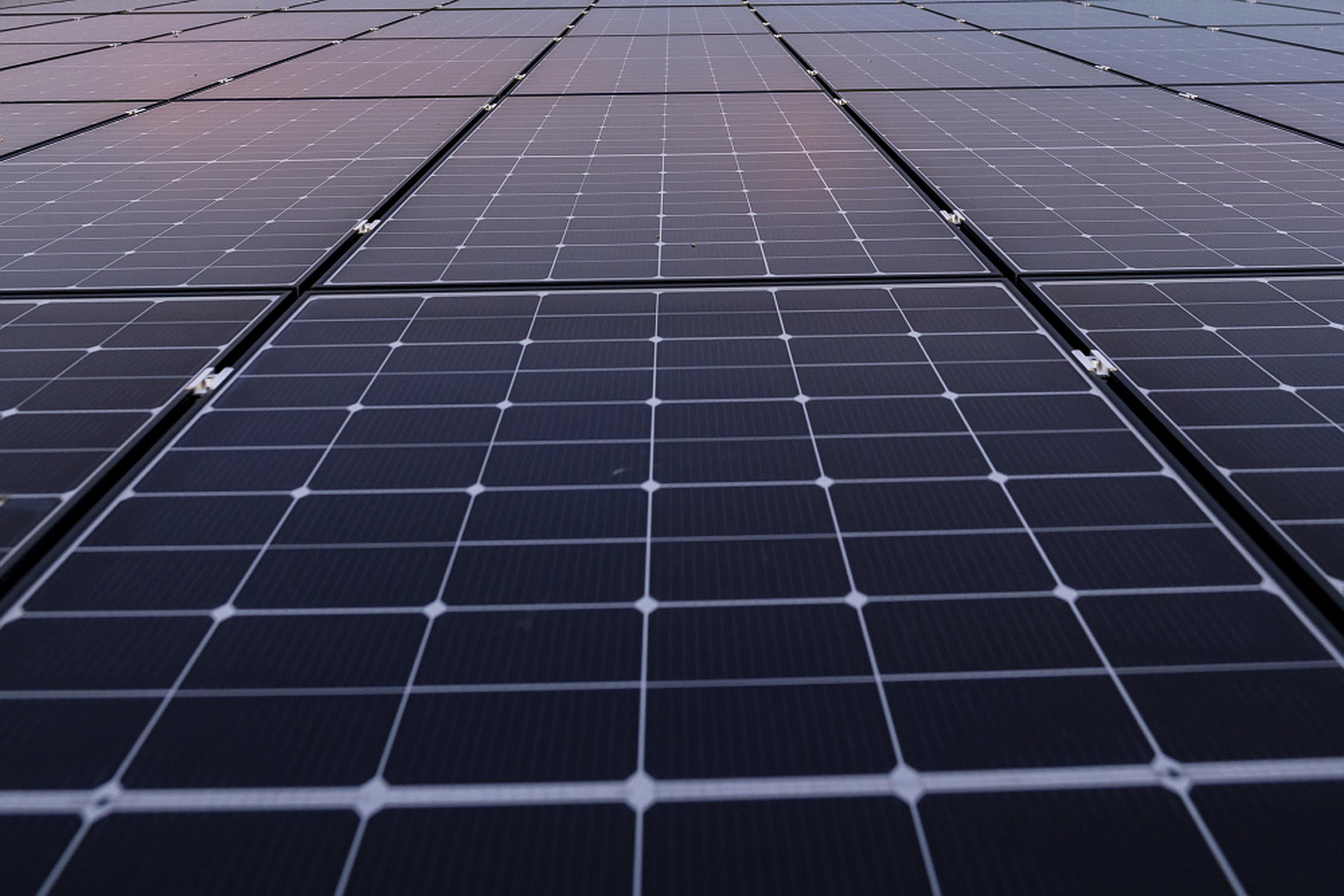 Detailaufnahme von Solarmodulen