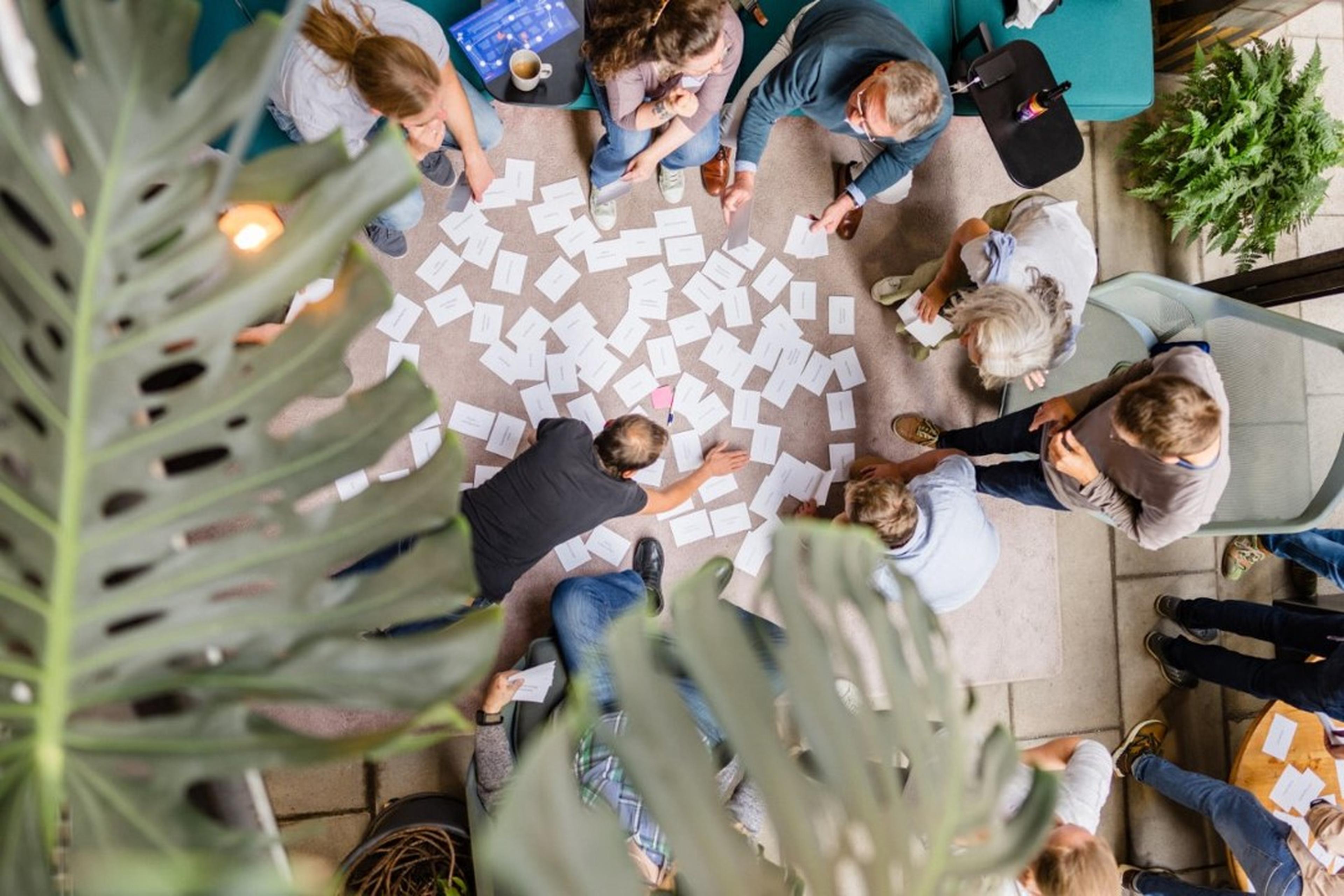 Menschen sitzen um einen Teppich herum und sortieren zahlreiche Karten. Grüne Pflanzen umrahmen die Szene von oben und schaffen eine Atmosphäre der Zusammenarbeit.