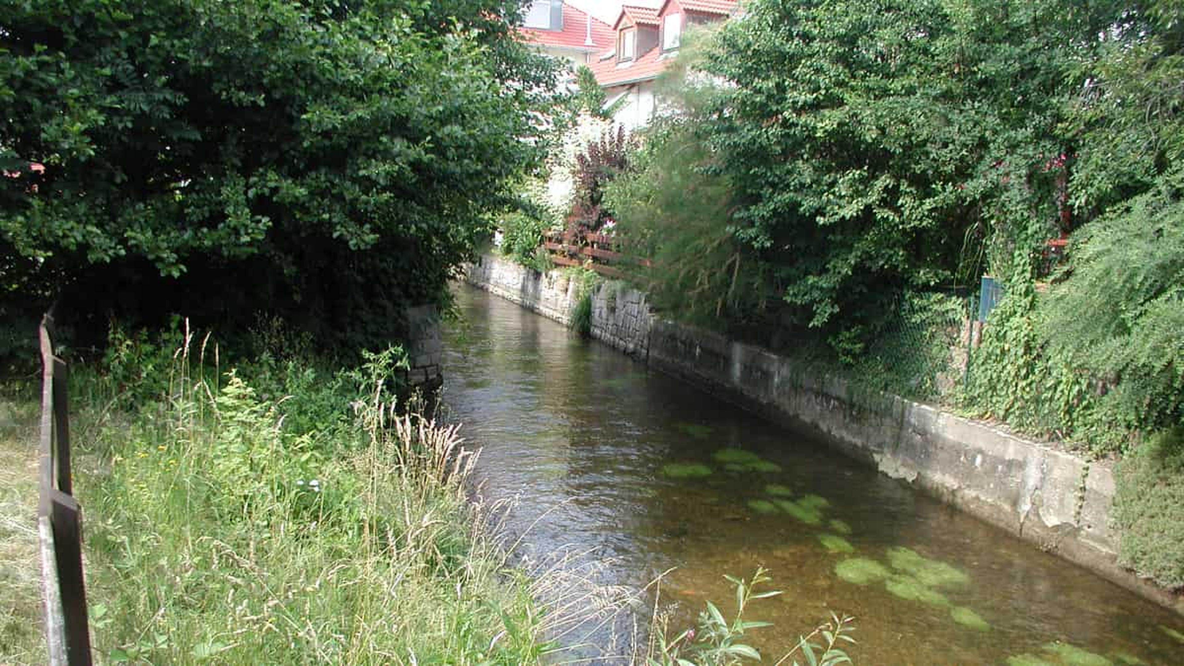 Ein schmaler, klarer Fluss fließt zwischen üppig grünen Bäumen hindurch, im Hintergrund sind Steinmauern und ein Gebäude mit roten Dächern zu sehen.