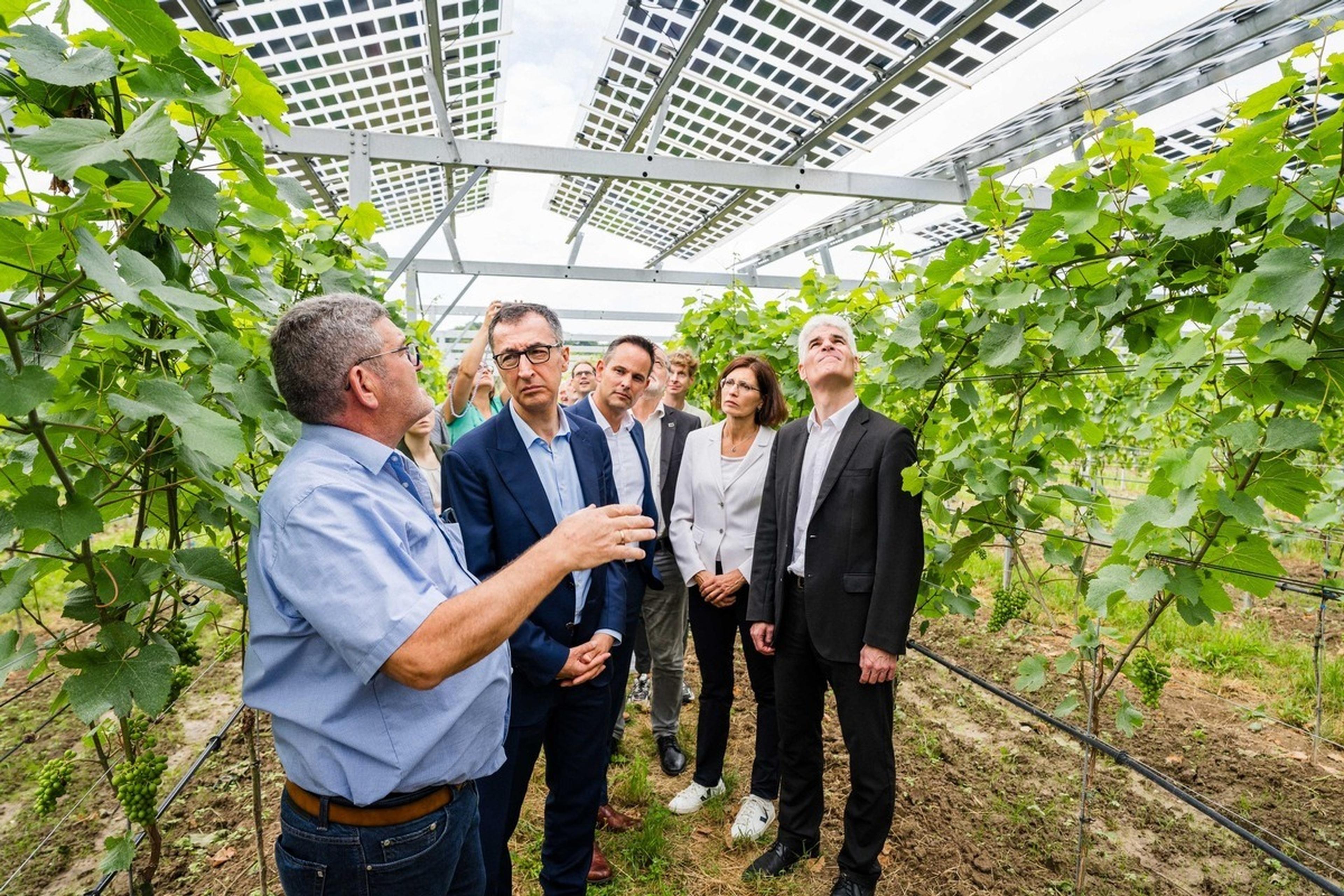 Begehung Vino-Photovoltaik-Anlage am Tuniberg mit Cem Özdemir und Interessierten