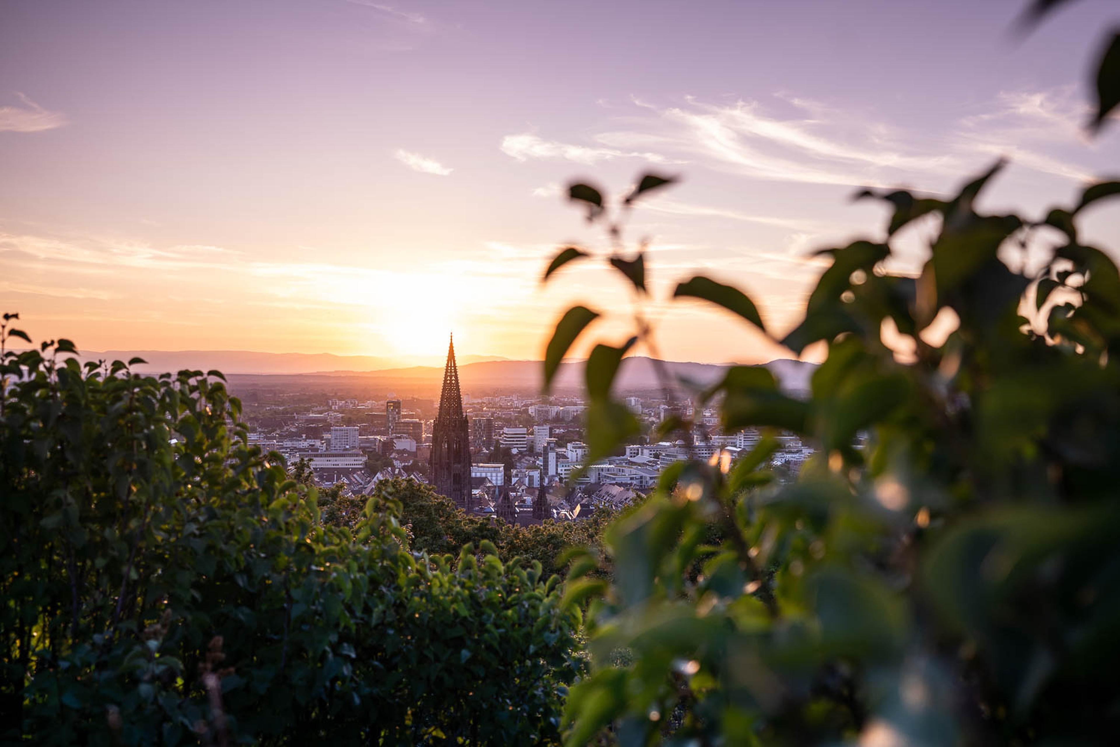 Blick vom Schlossberg auf das Freiburger Münster