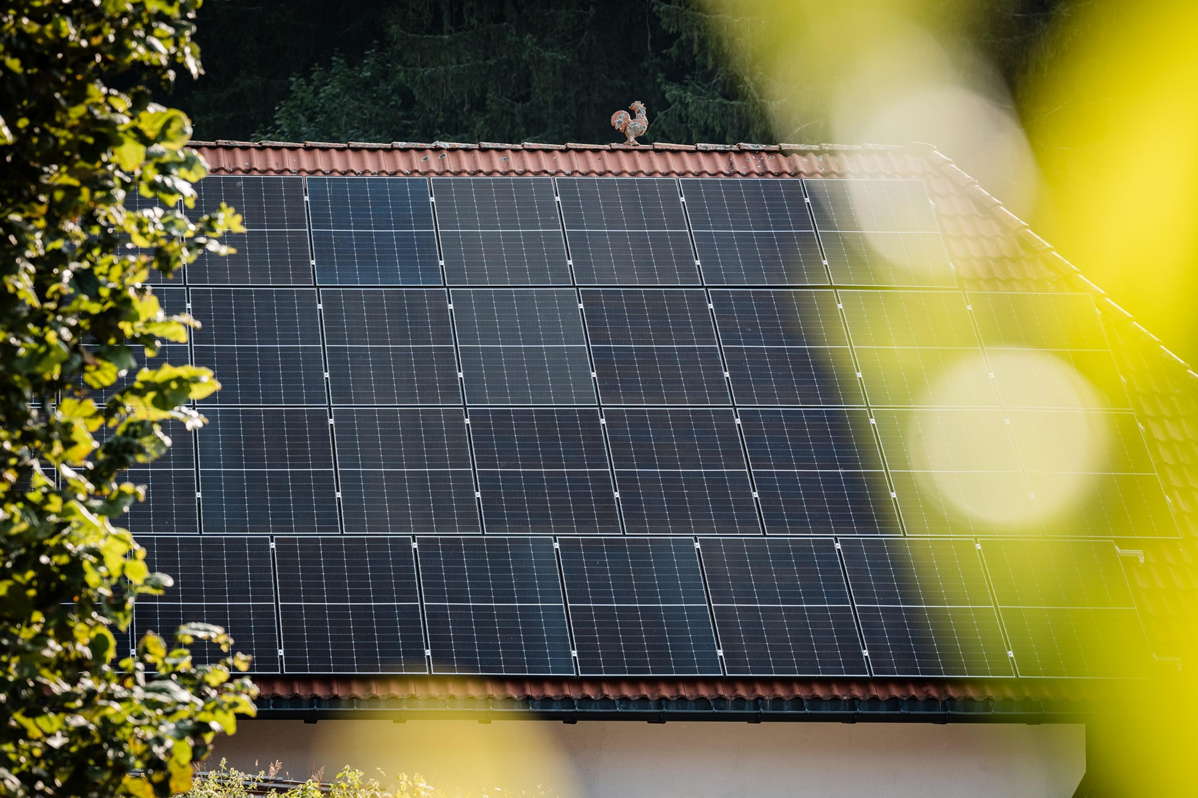 A house roof covered with solar panels, surrounded by trees, with blurred yellow leaves in the foreground.
