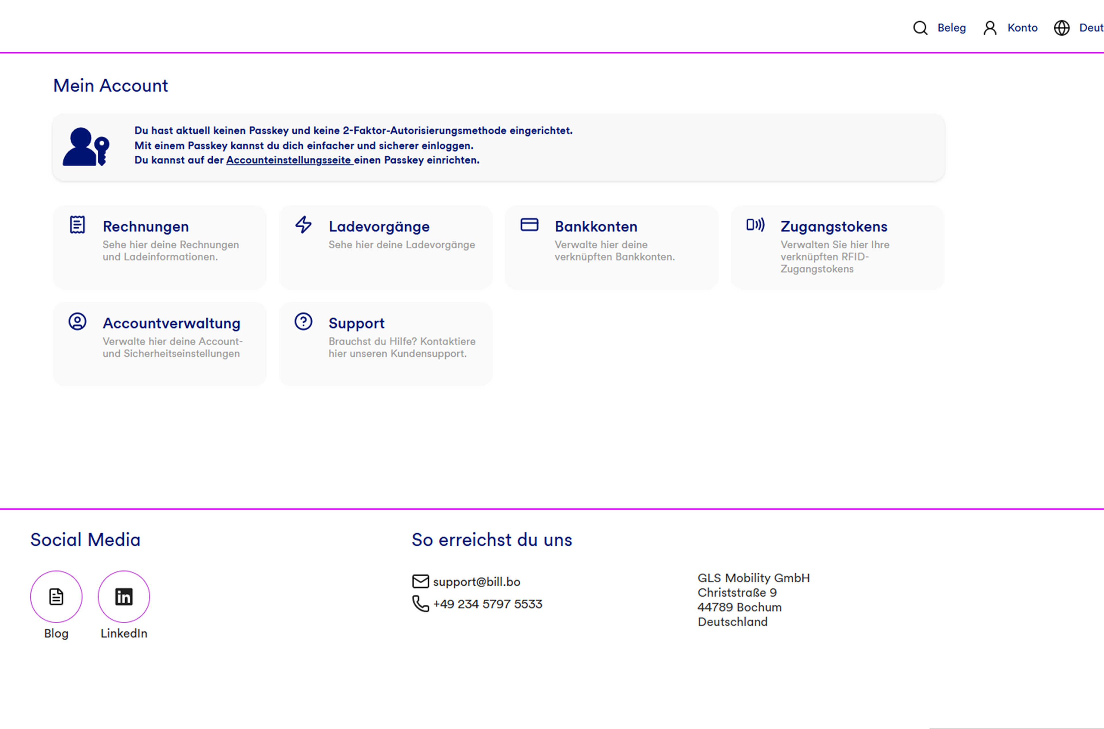 Accountansicht der Webplattform bill.bo