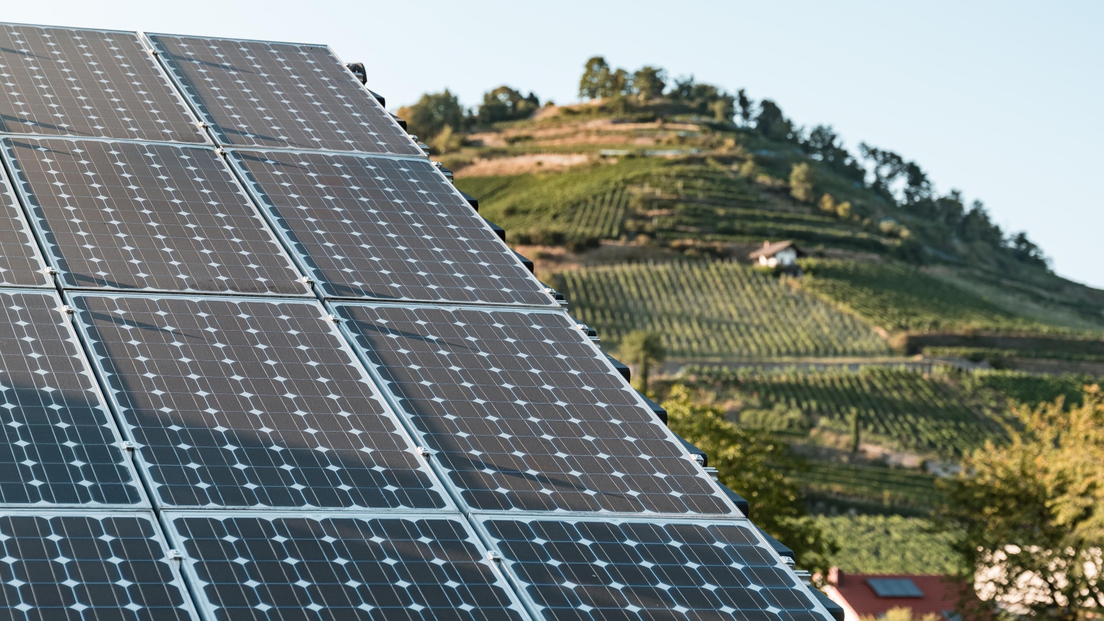 Detailaufnahme einer PV-Anlage mit Weinbergen im Hintergrund