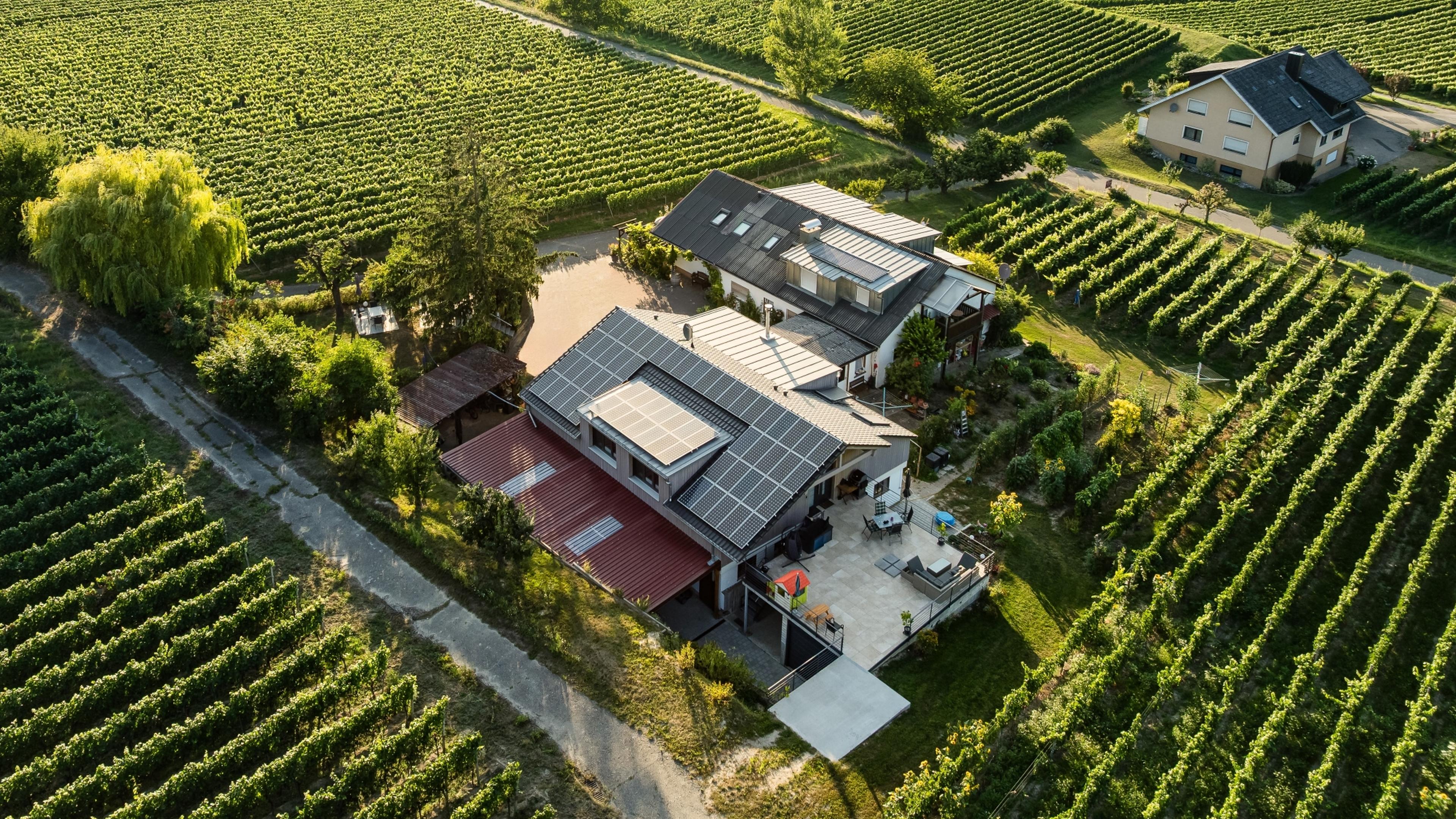 Eine Drohnenaufnahme eines Wohngebäudes mit PV-Anlage auf dem Dach umgeben von Weinreben.