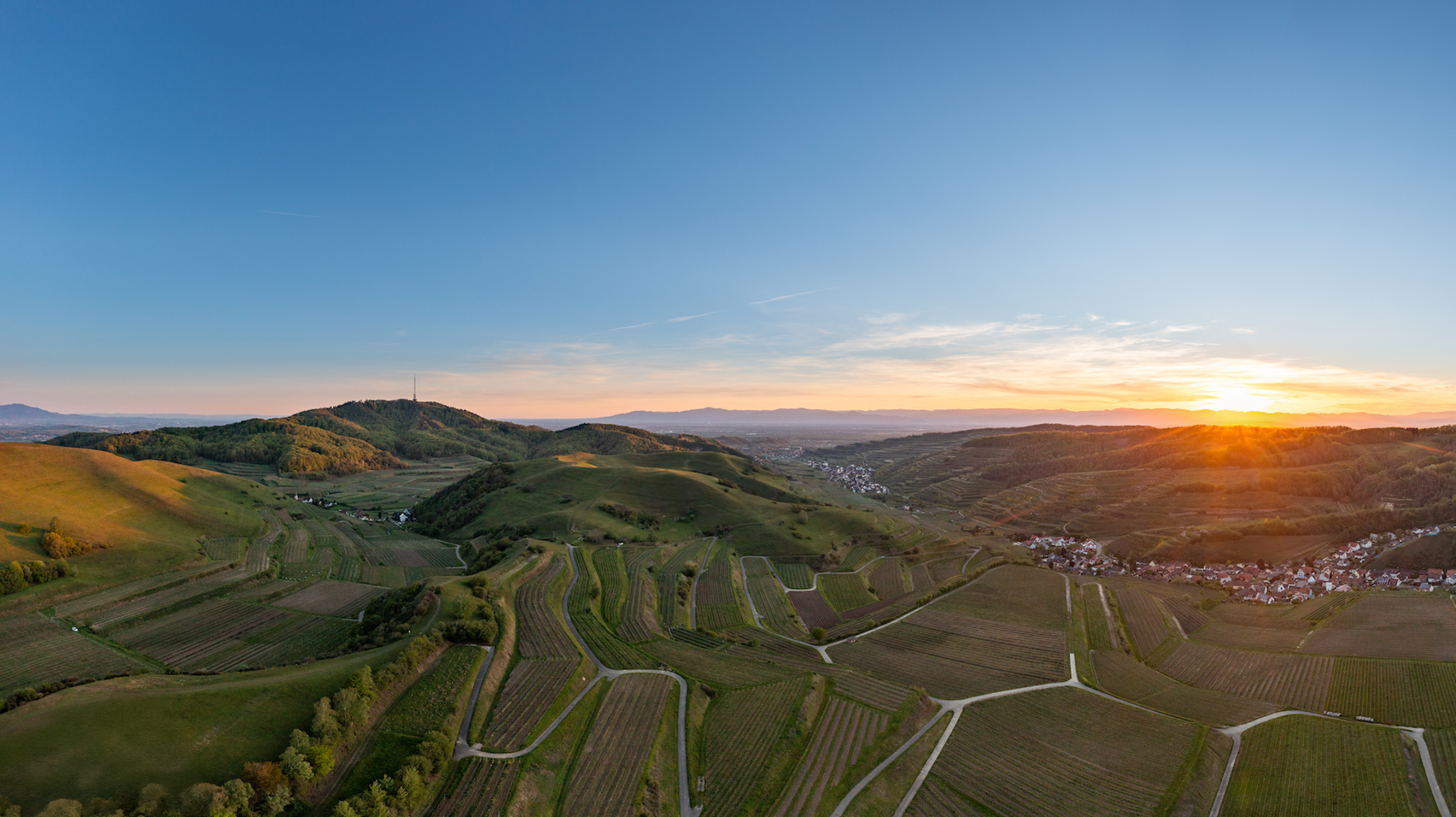 Kaiserstuhl Region Freiburg, Weinreben bei Sonnenuntergang