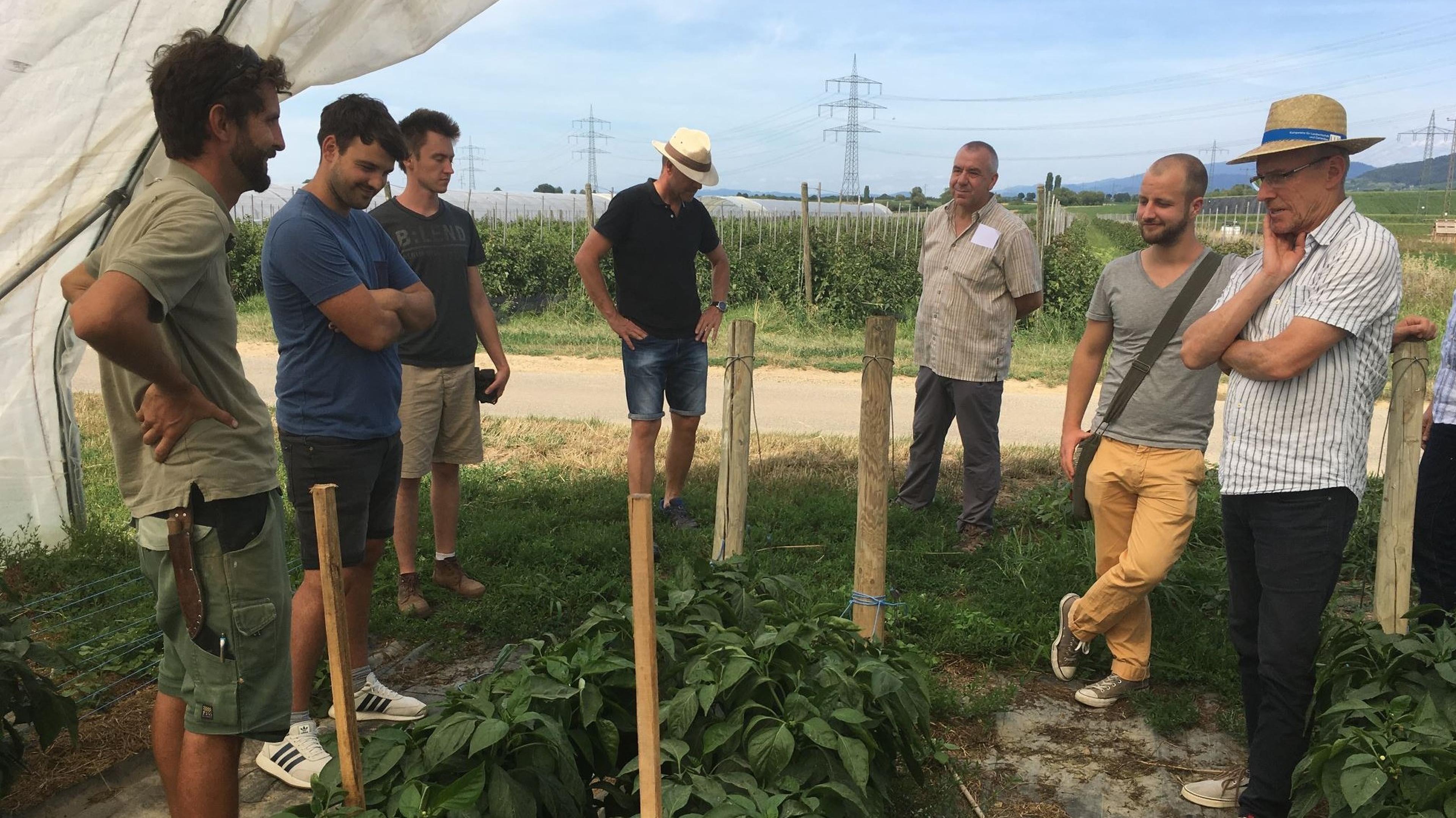 Eine Gruppe von Menschen steht in einem Garten und betrachtet Pflanzen. Einige tragen Hüte, andere haben die Arme verschränkt. Im Hintergrund sind Stromleitungen und Felder zu sehen.