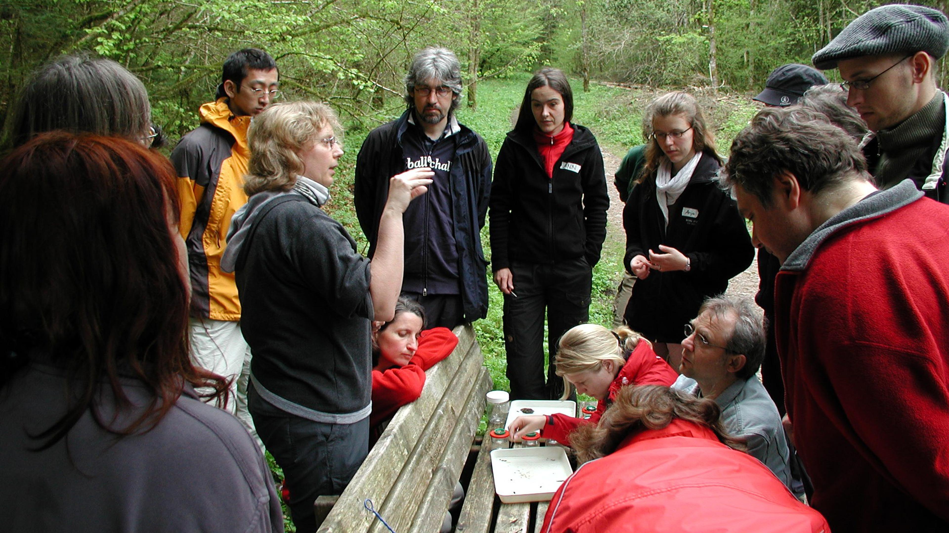 Eine Gruppe von Menschen hatte sich in einem Wald versammelt, saß auf einer Bank, betrachtete verschiedene Gegenstände und diskutierte darüber – wahrscheinlich im Rahmen einer Lernveranstaltung im Freien.