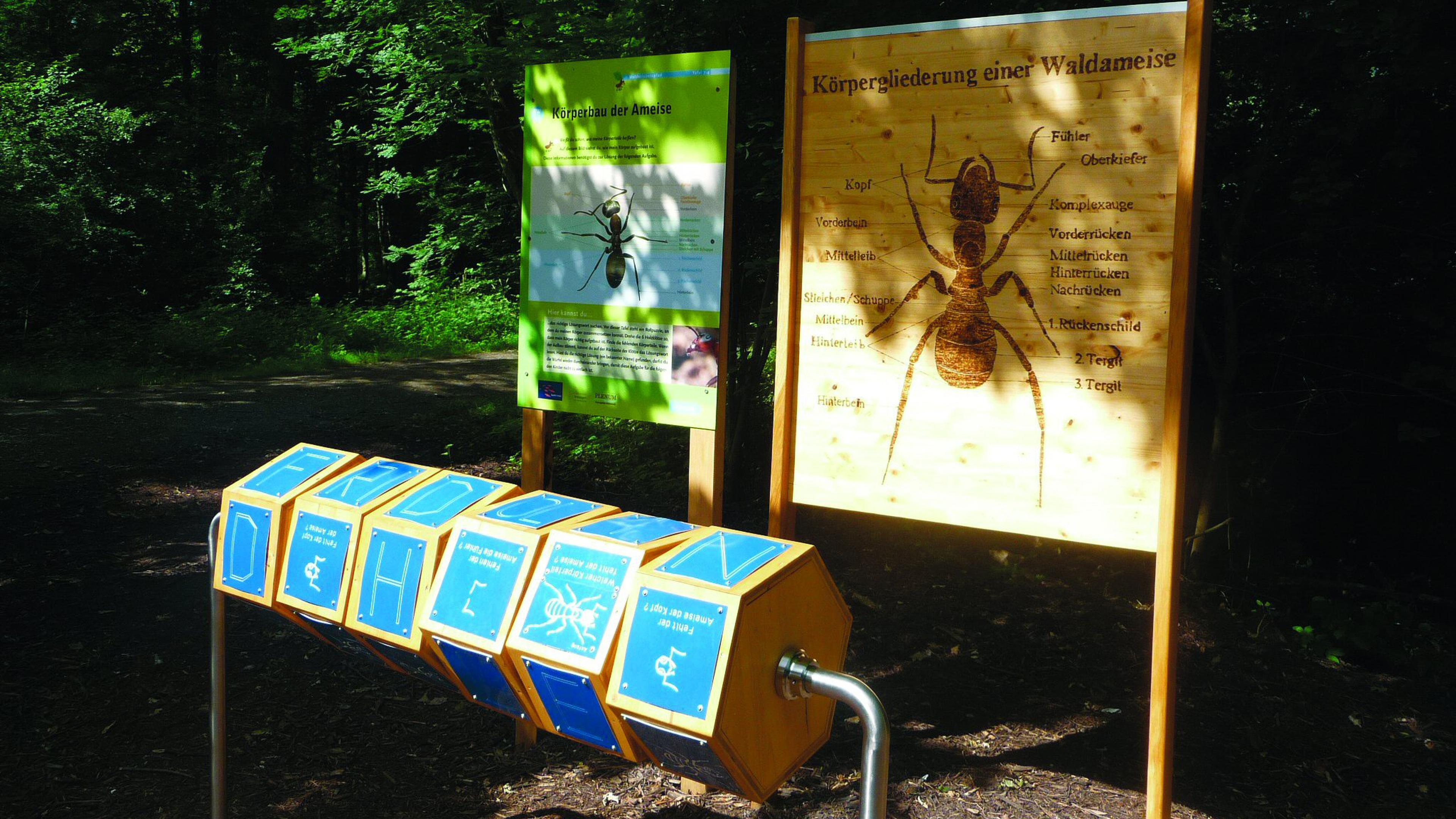Lehrtafeln und interaktive Ausstellung über Ameisen in einer Waldkulisse, mit detaillierten Abbildungen und Erläuterungen auf Deutsch.