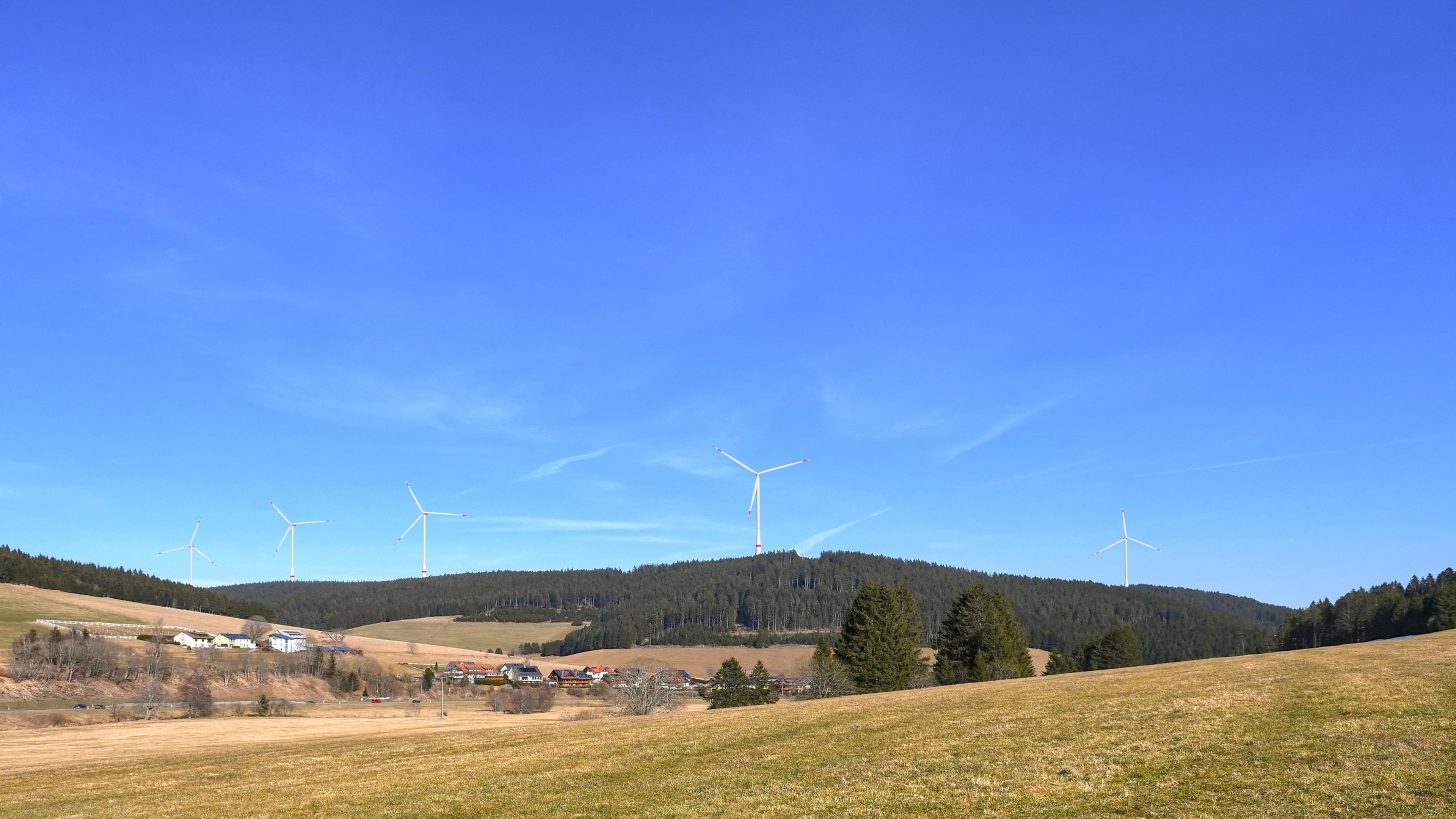 Visualisierung geplanter Windpark Rappeneck