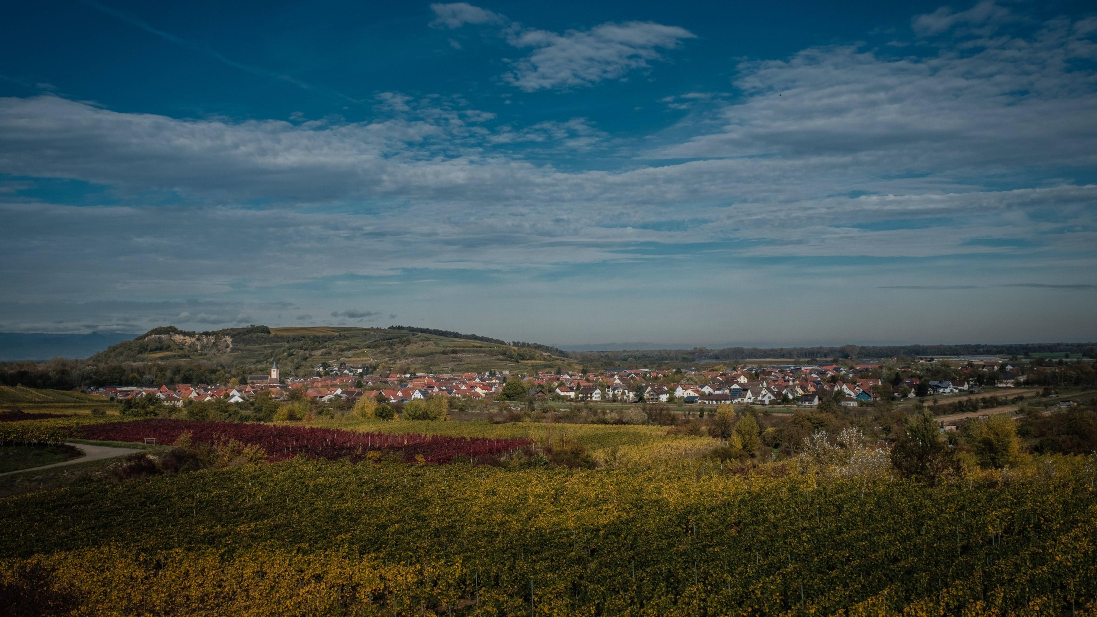 Blick über Sasbach am Kaiserstuhl