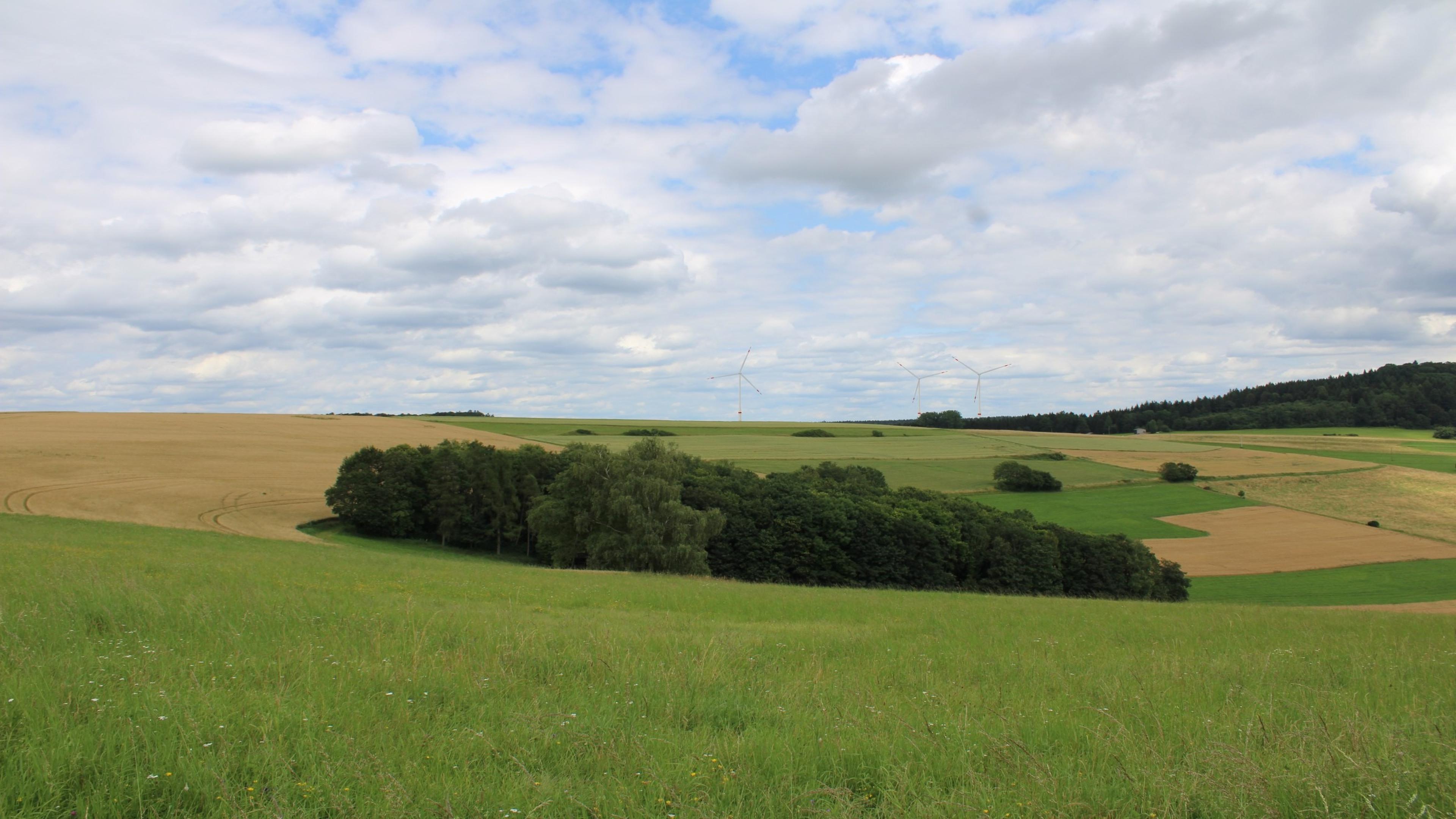 Visualisierung Windpark Langwieden auf grünem Feld