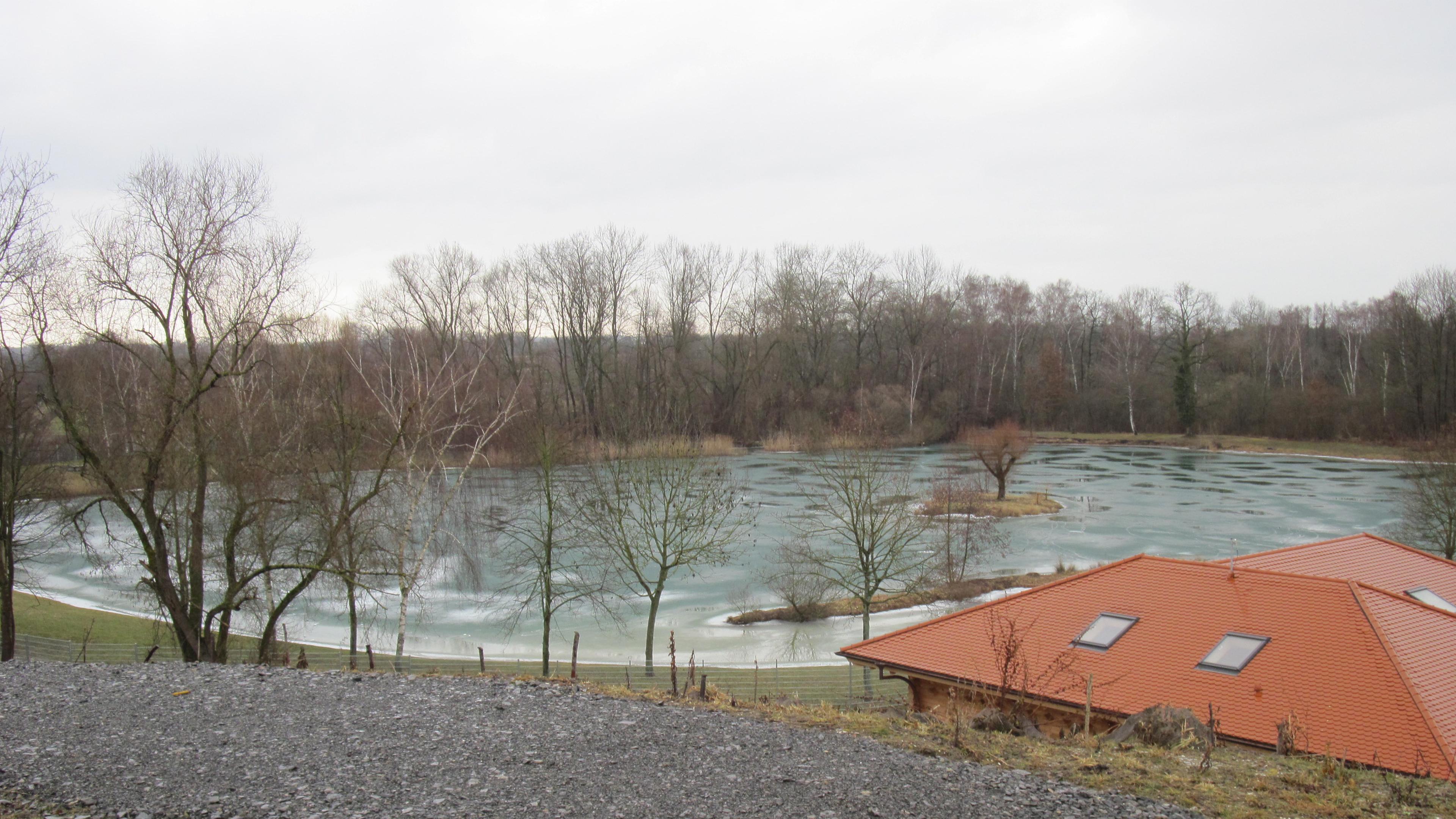 Ein vereister Teich, umgeben von kahlen Bäumen an einem bewölkten Tag, mit einem Gebäude mit rotem Dach im Vordergrund.