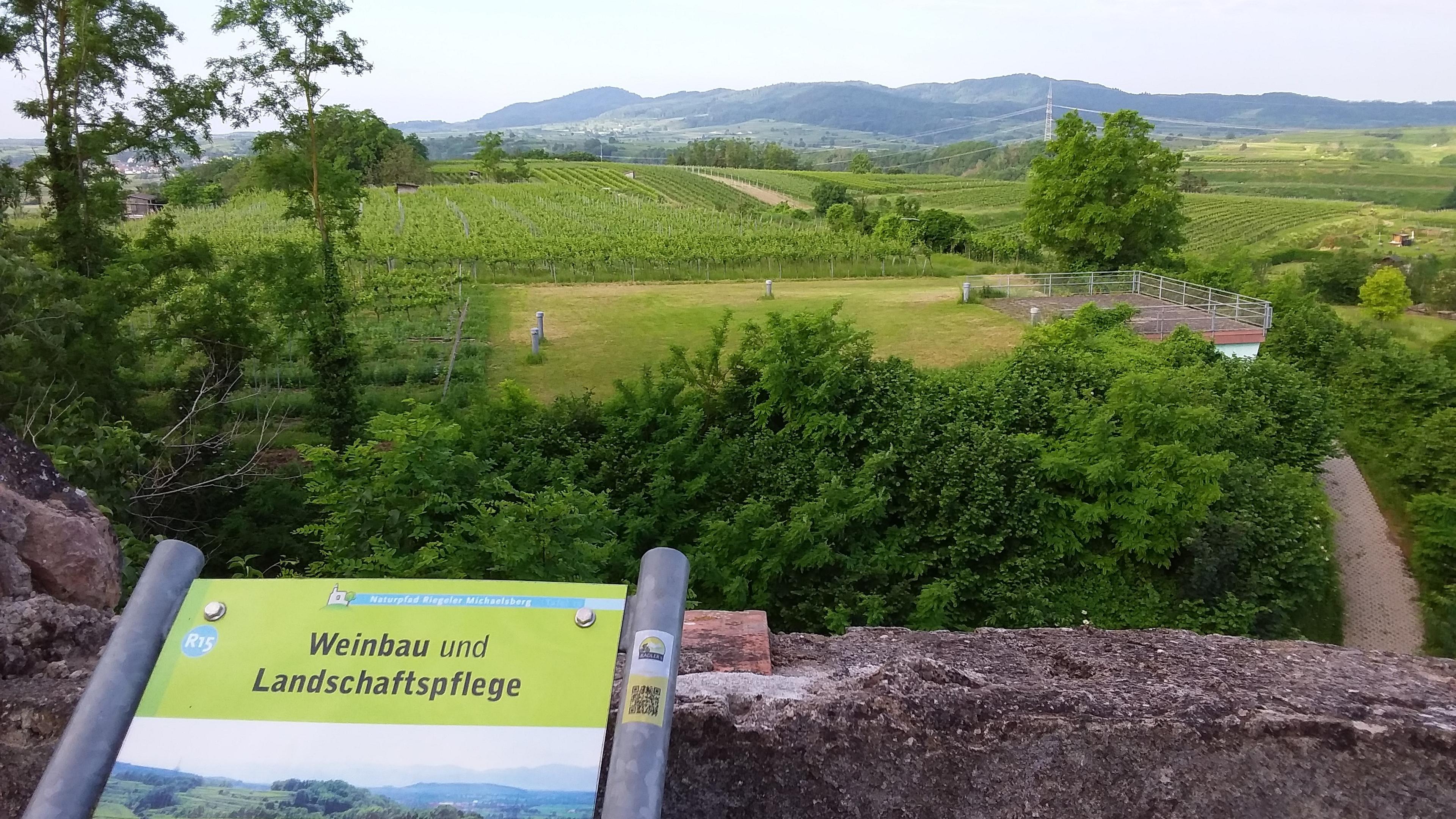 Blick auf eine üppige Weinberglandschaft mit sanften Hügeln im Hintergrund. Auf einem Schild im Vordergrund steht „Weinbau und Landschaftspflege“.