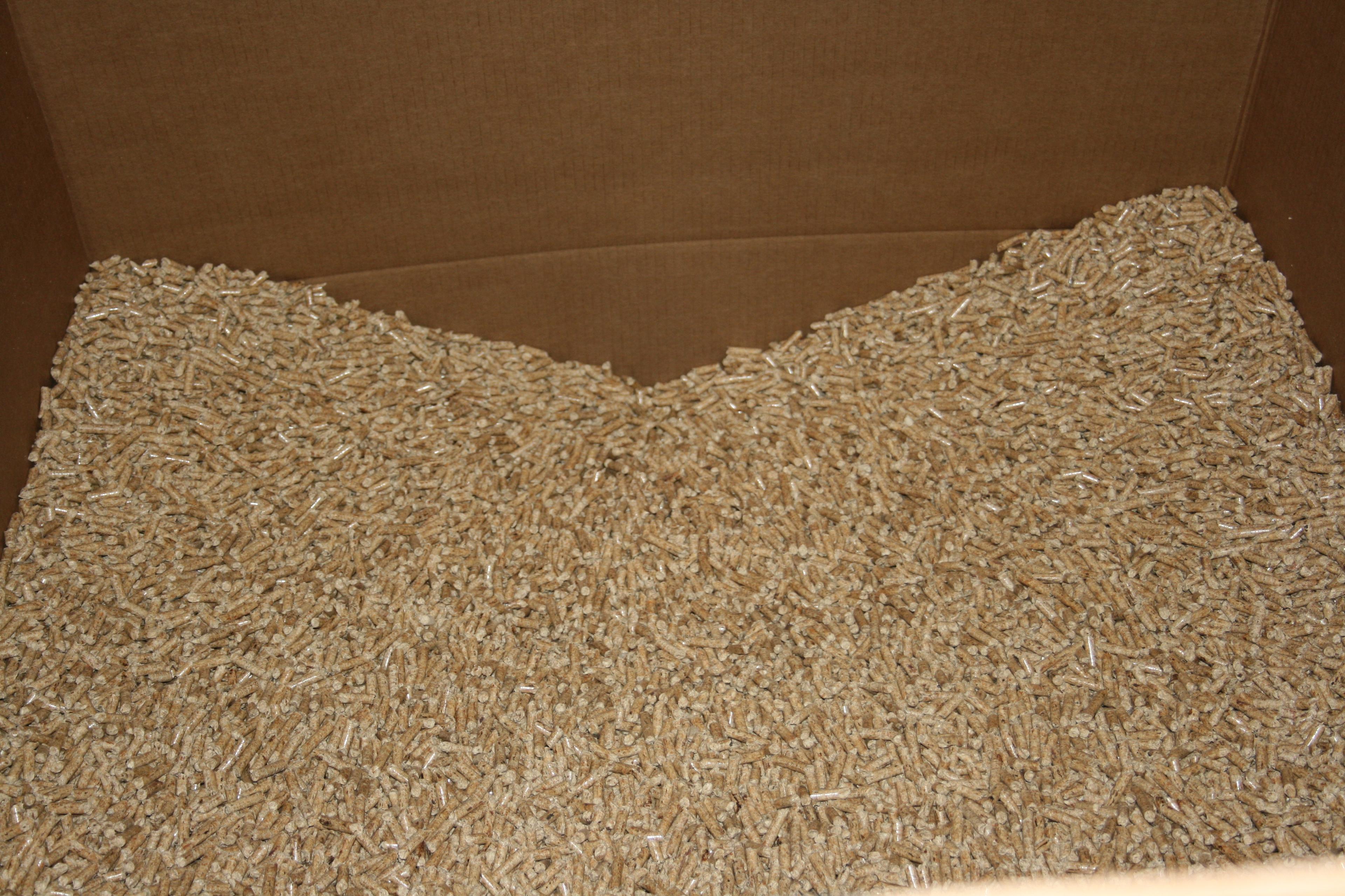 Ein Karton, gefüllt mit gleichmäßig verteilten, kleinen braunen Holzpellets, die als Brennstoff oder Einstreu verwendet werden können.