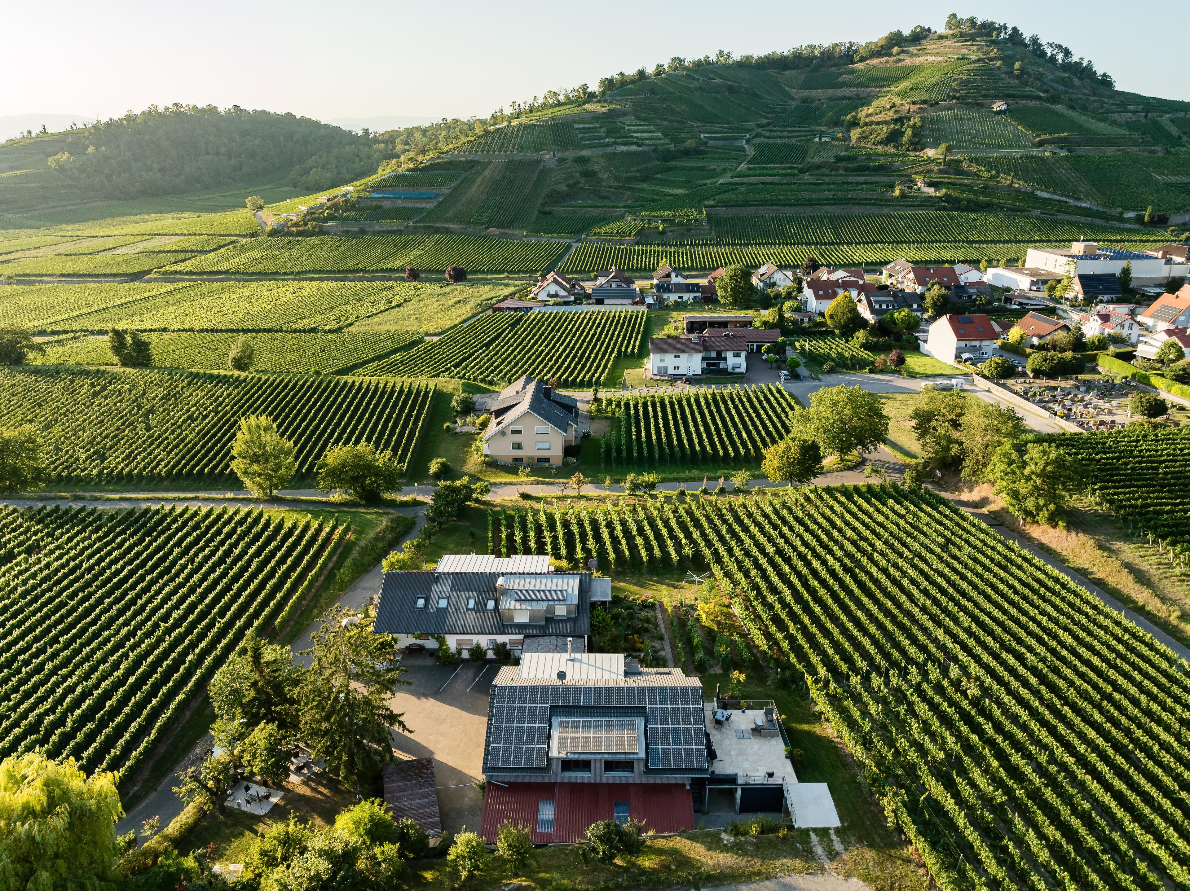 Photovoltaikanlage auf Einfamilienhaus im Vordergrund, umgeben von einem Dorf und Weinreben