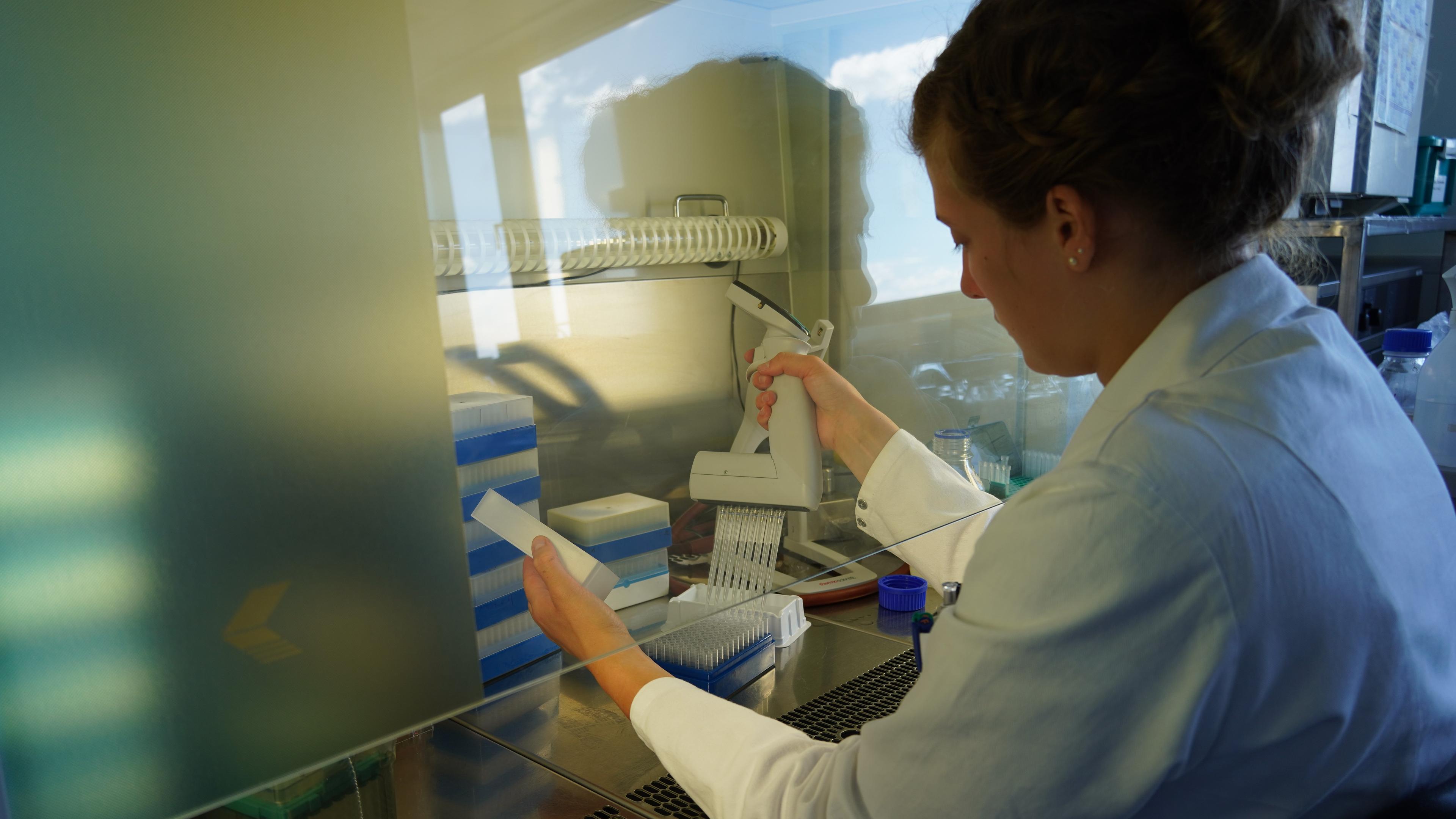 Ein Wissenschaftler in einem Laborkittel benutzt eine Pipette in einem Labor und arbeitet mit Proben auf einem Tablett unter einem Abzug.