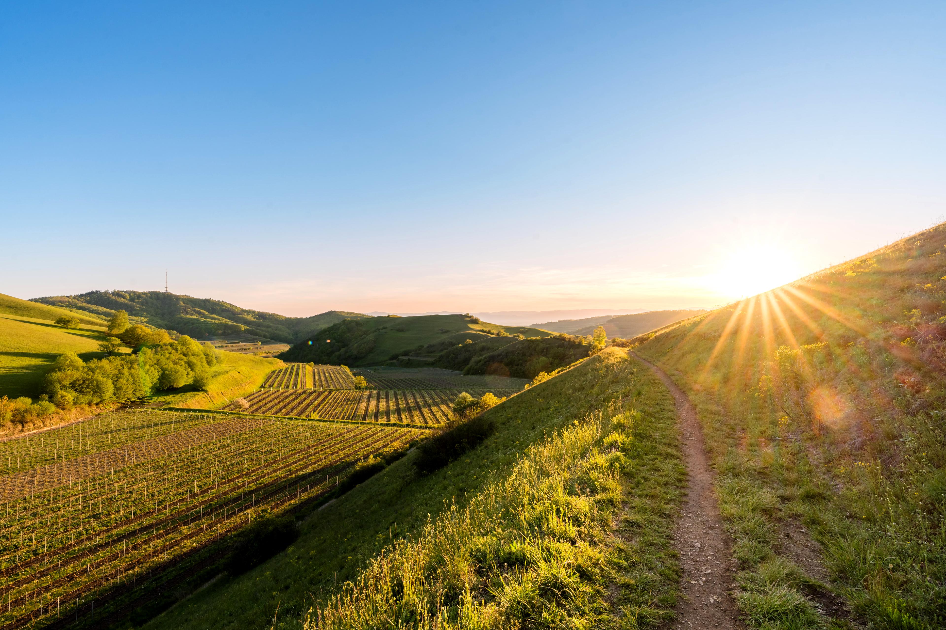 Sonne geht hinter Hügel über dem Kaiserstuhl auf
