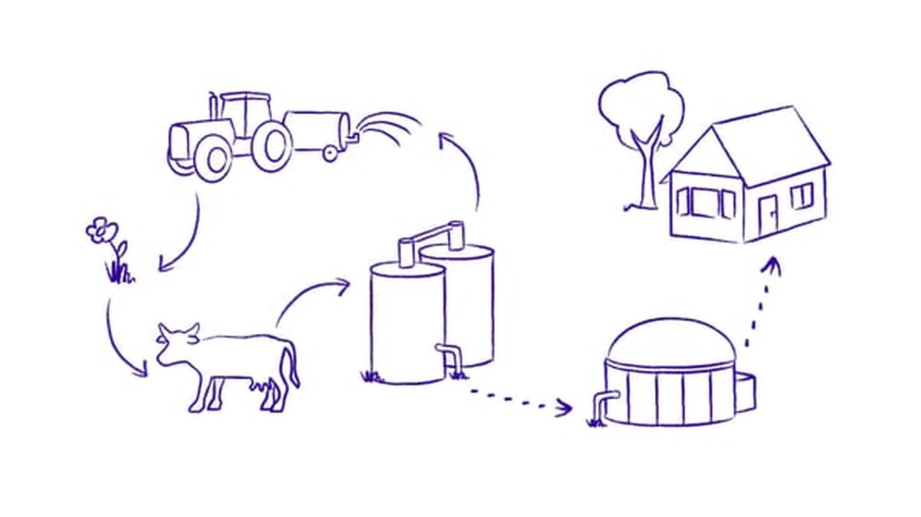 Illustration eines Prozesses vom Bauernhof zum Haus: Traktor, Kuh, Tanks, Biogasanlage, Baum und Haus, die durch Pfeile miteinander verbunden sind und einen landwirtschaftlichen Kreislauf darstellen.