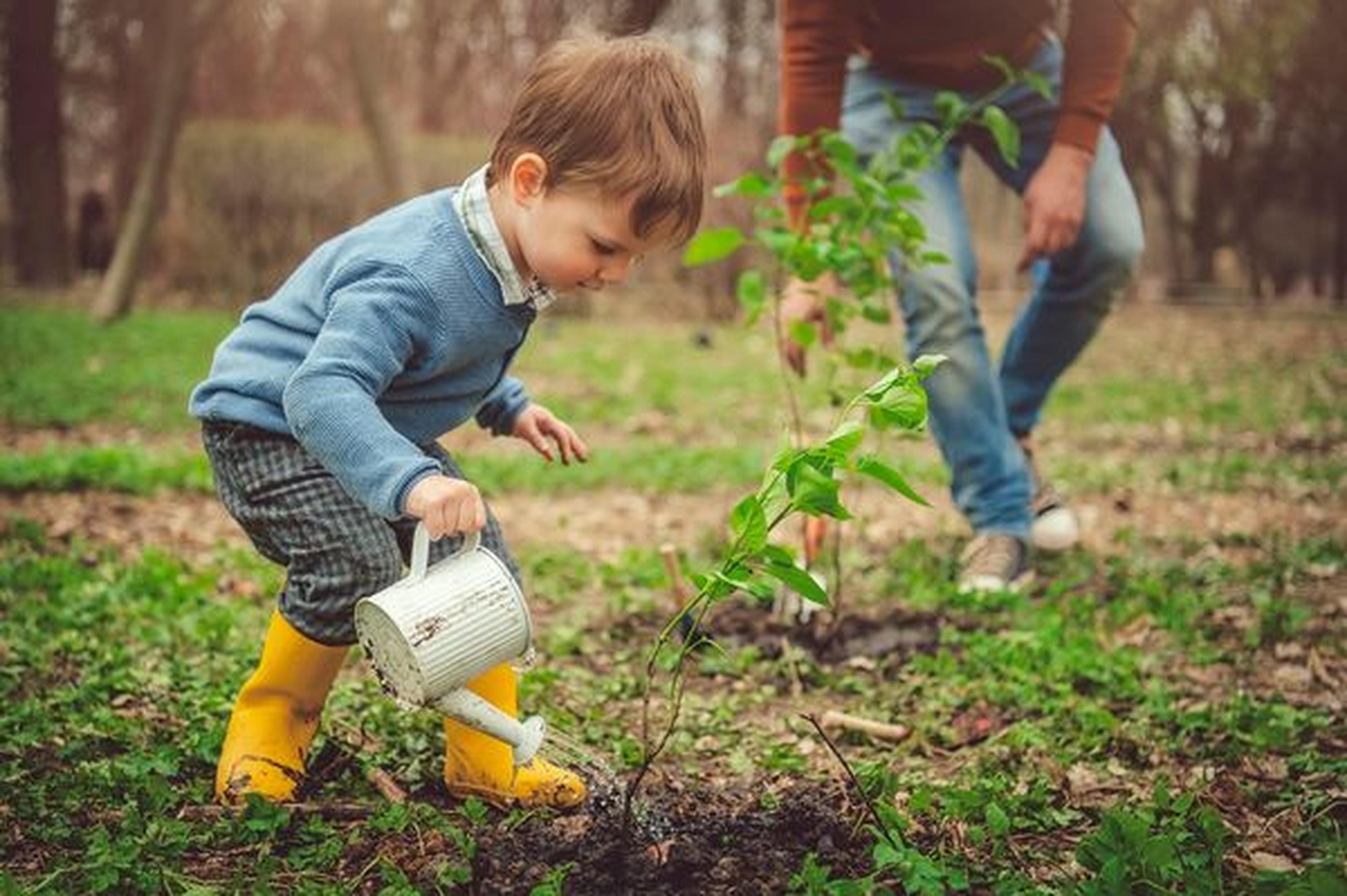Ein kleines Kind in gelben Stiefeln gießt eine kleine Pflanze mit einer Gießkanne, während ein Erwachsener sich um eine andere Pflanze im Garten kümmert.