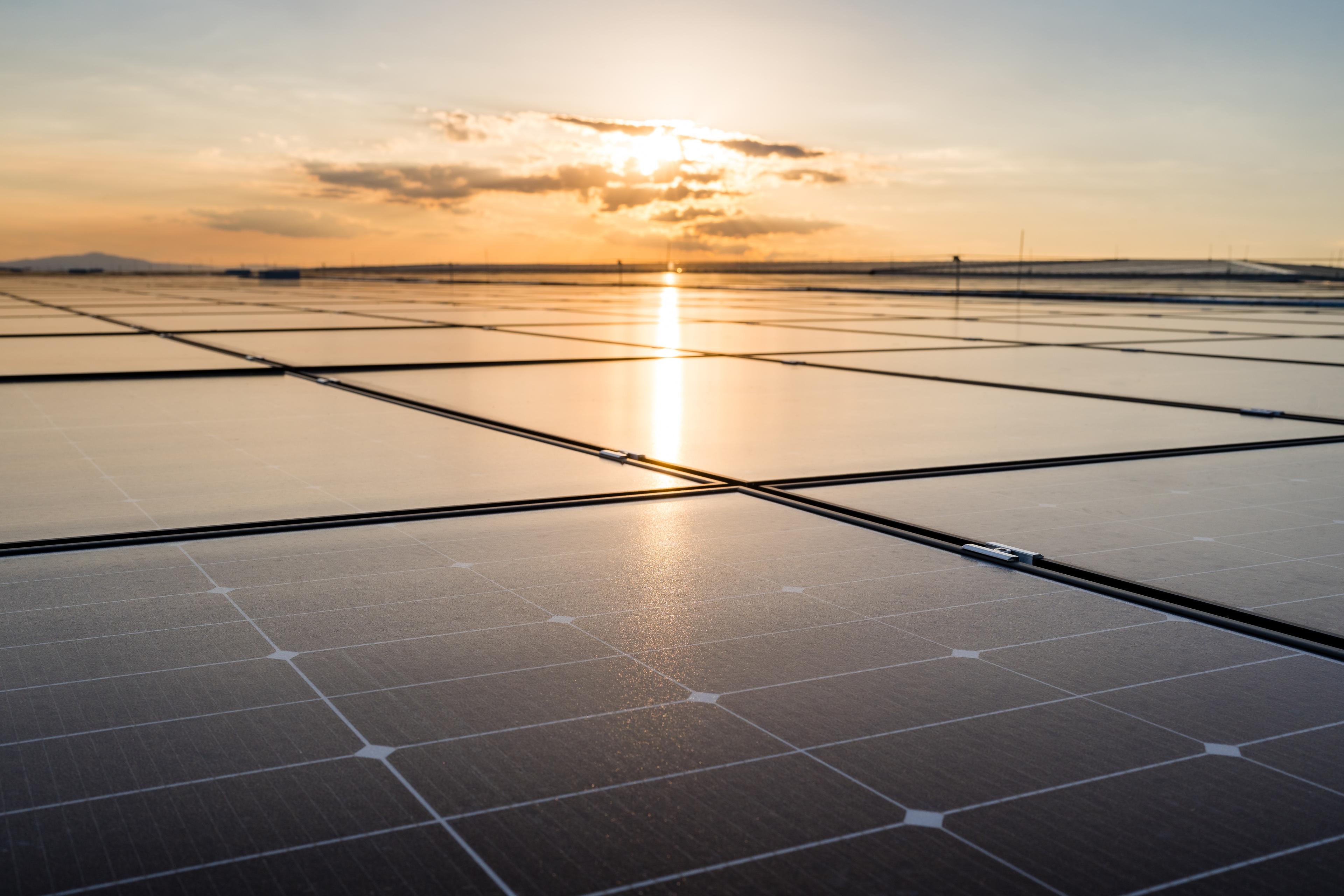 Photovoltaik-Module vor Sonnenuntergang