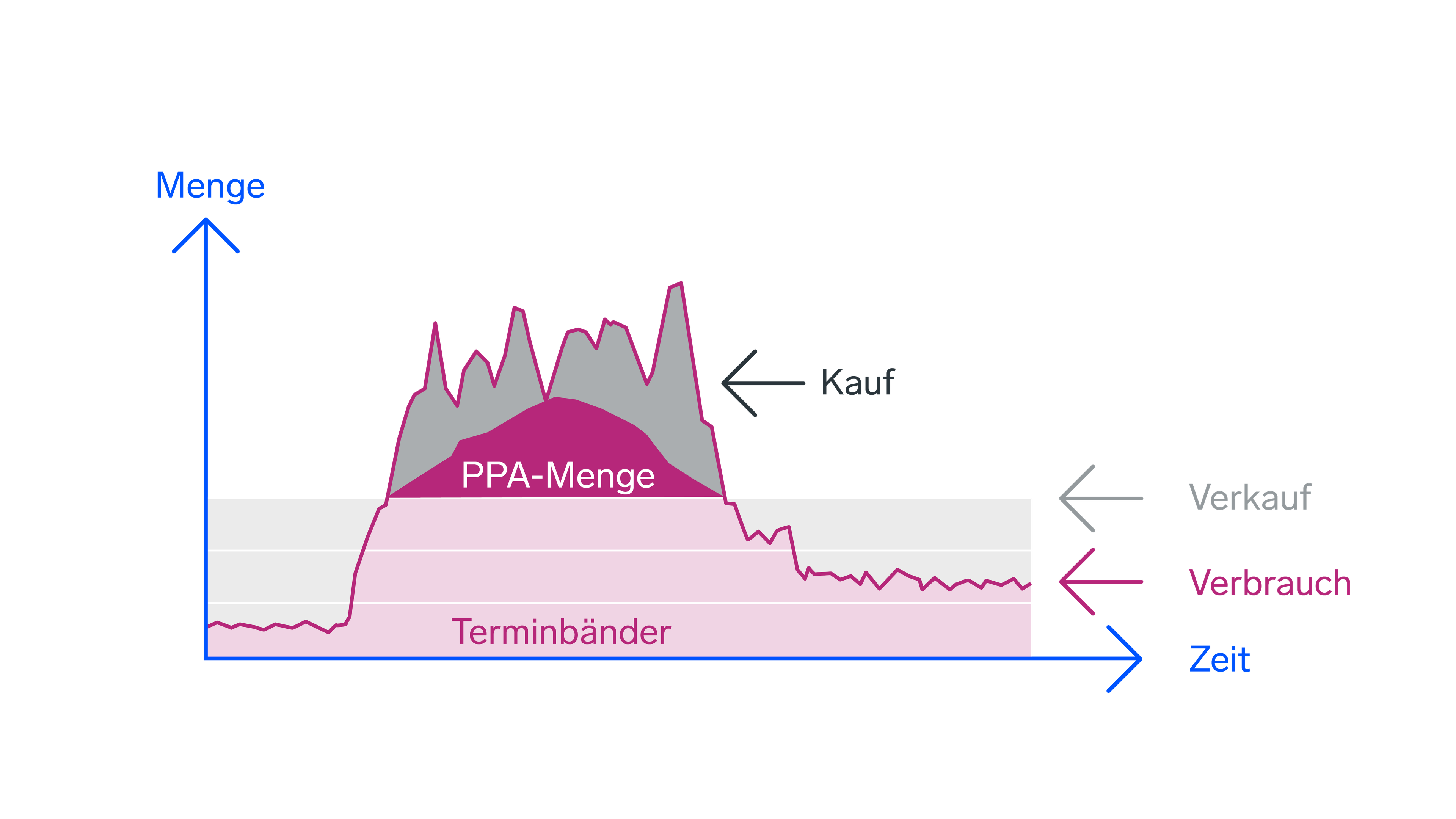 Infografik ZukunftPlusPPA Beschaffungsmodell