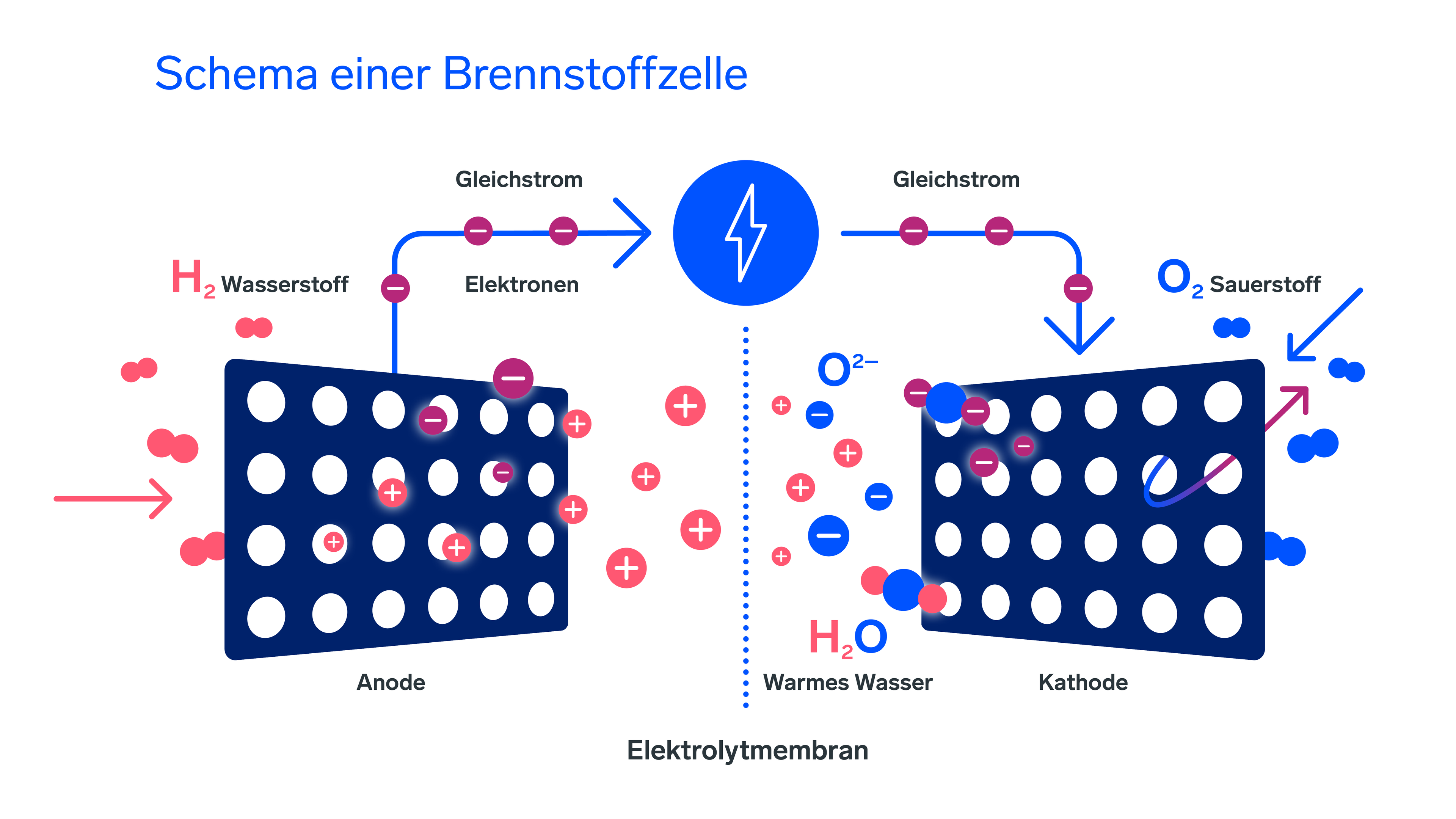 Schematische Darstellung einer Brennstoffzelle, in der Wasserstoff und Sauerstoff einströmen und über eine Anode, eine Kathode und eine Membran Strom, Wasser und Wärme erzeugen.