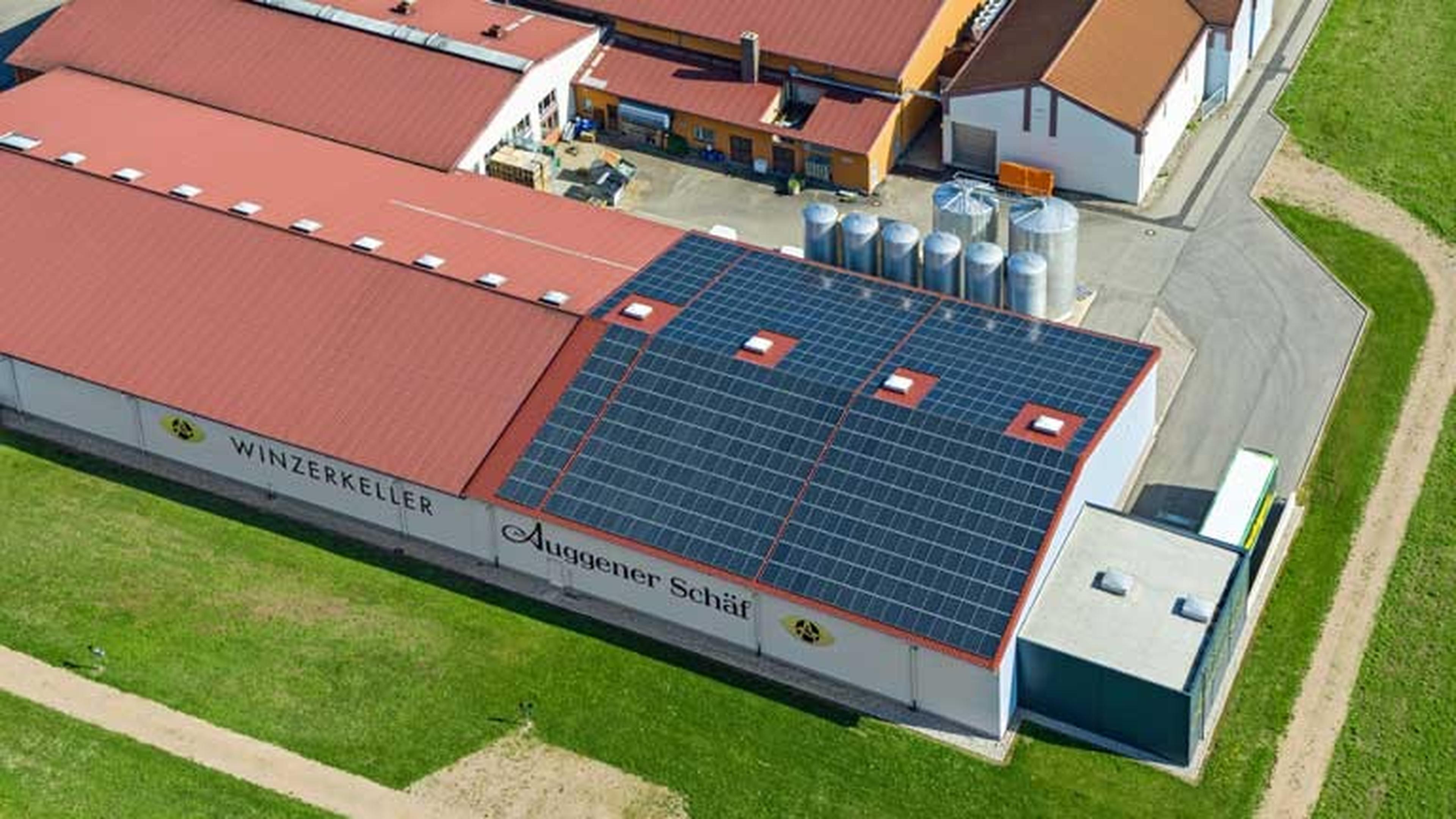 PV-Referenzanlage Winzerkeller Auggener Schäf