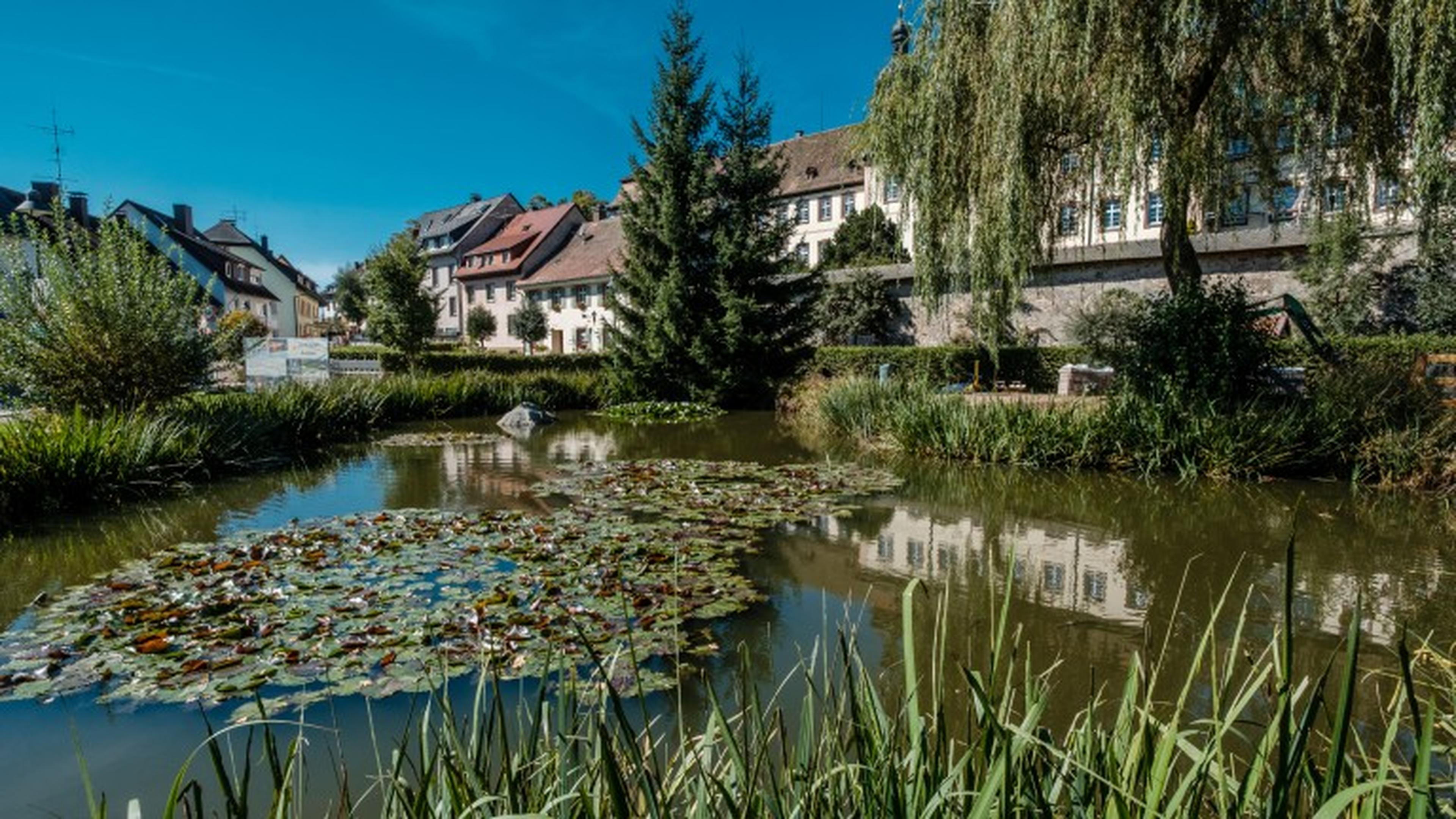 Der Dorfteich in St. Peter