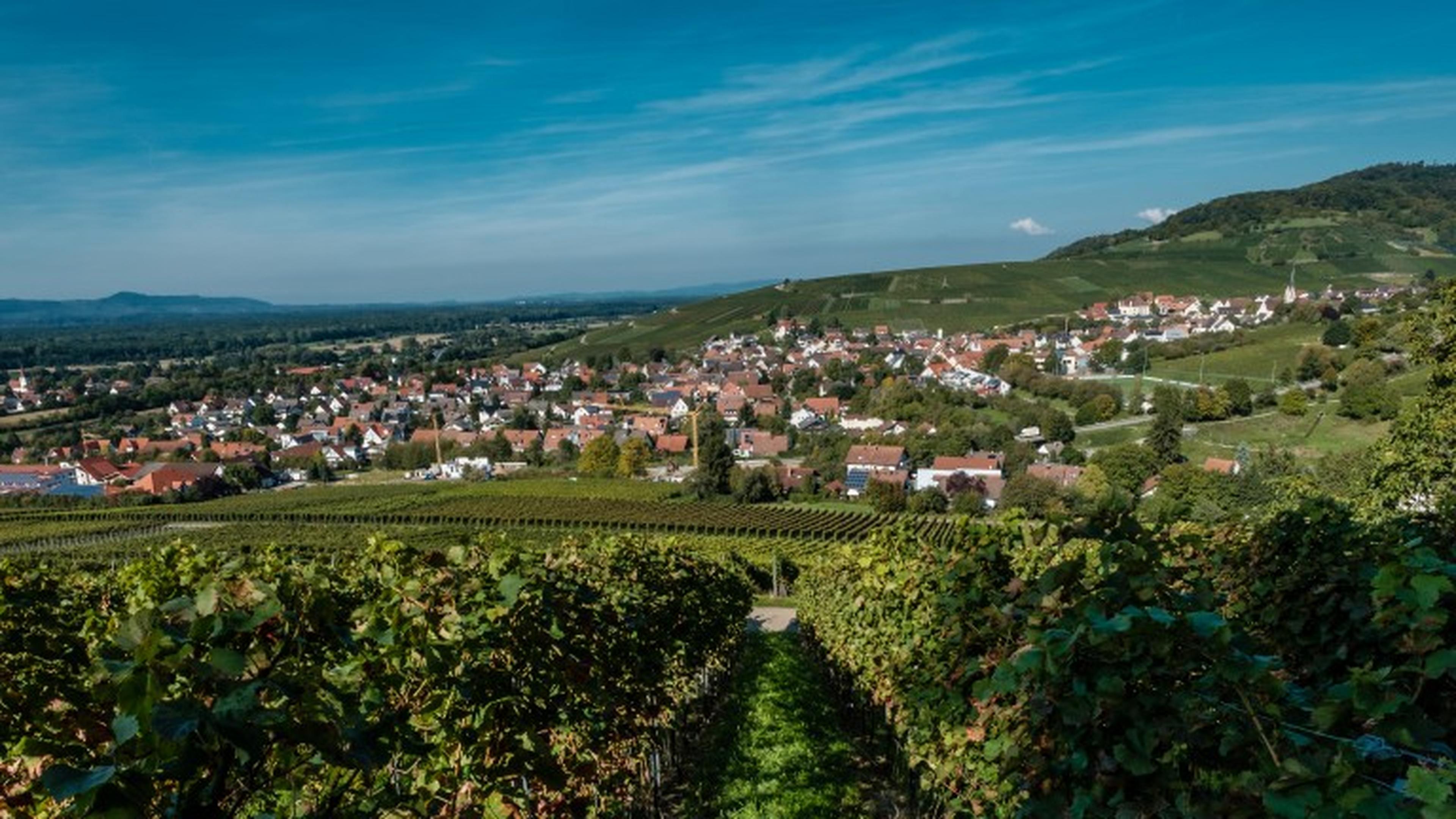 Panorama von Ebringen