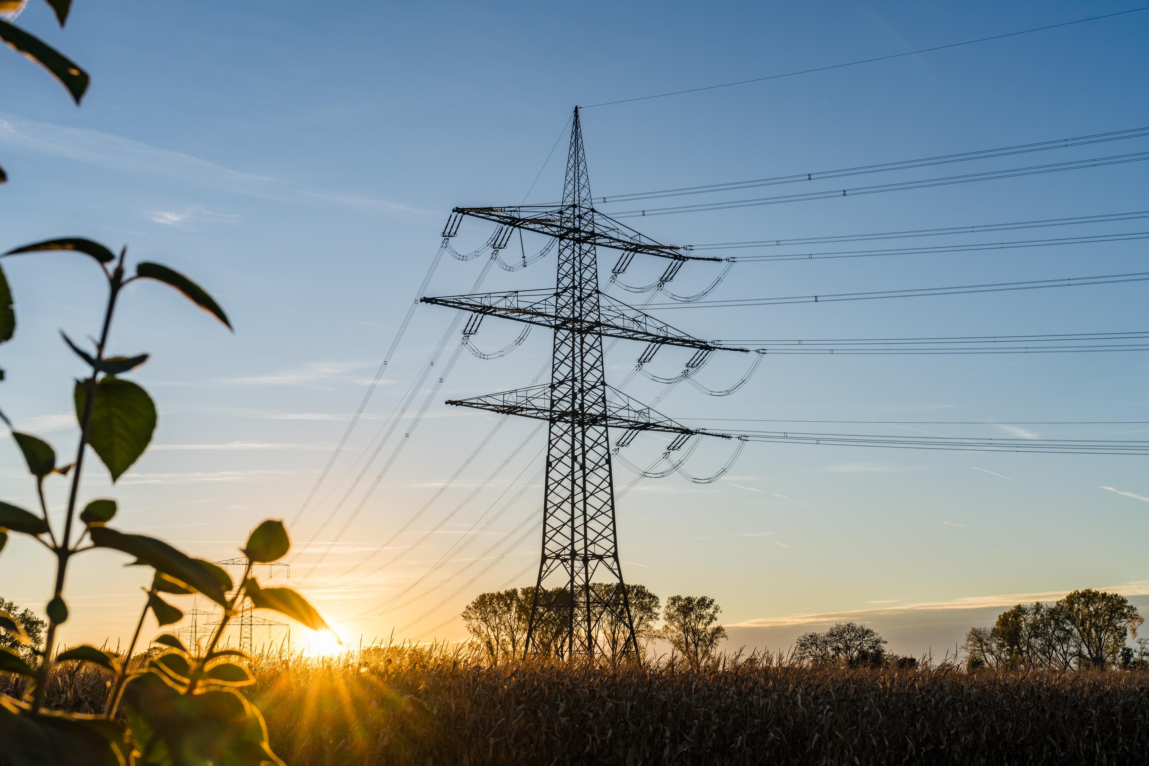 Stromleitungen in der Abendsonne