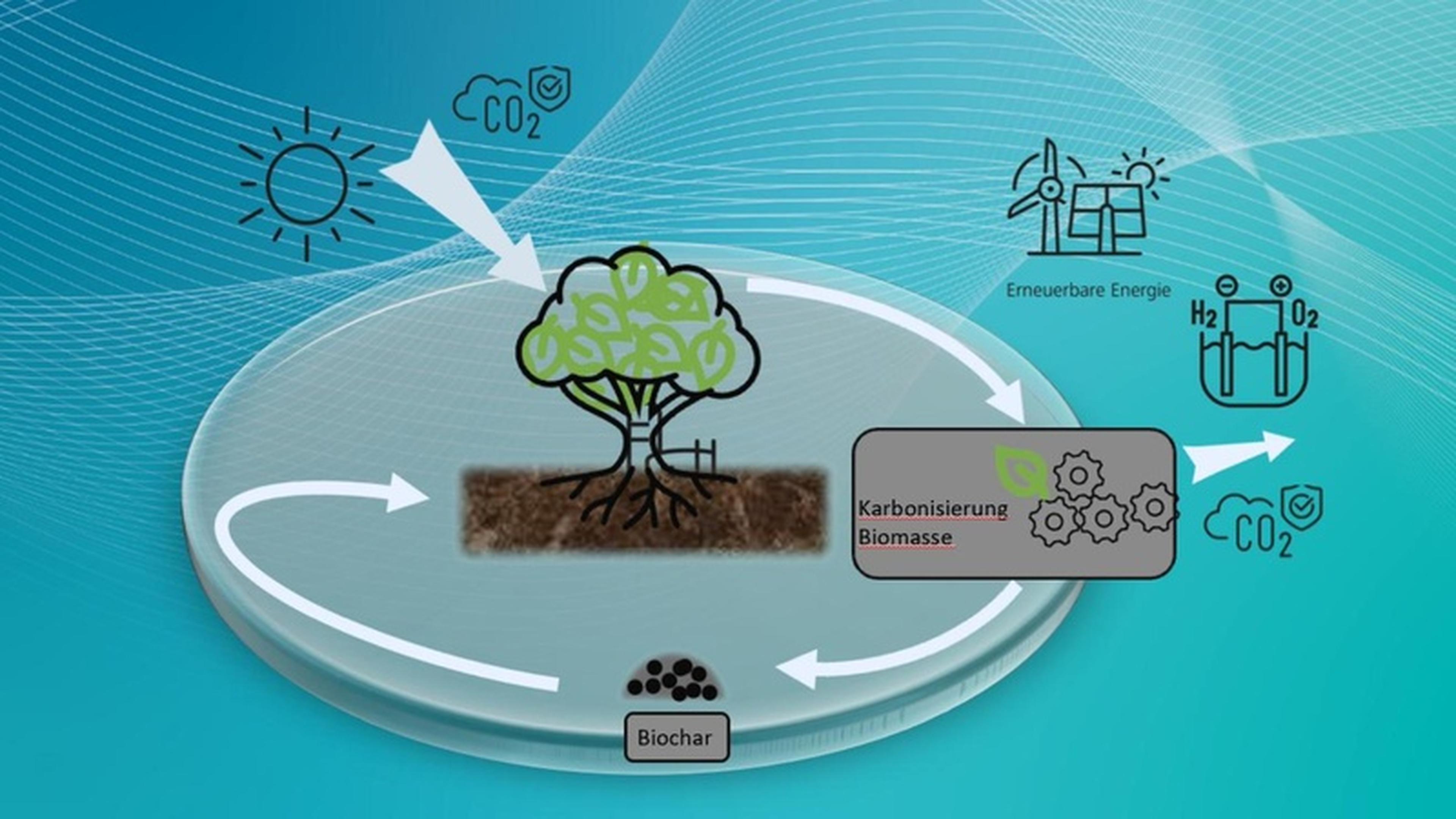 Charlie – BioChar und Kohlendioxid aus biogenen Reststoffen