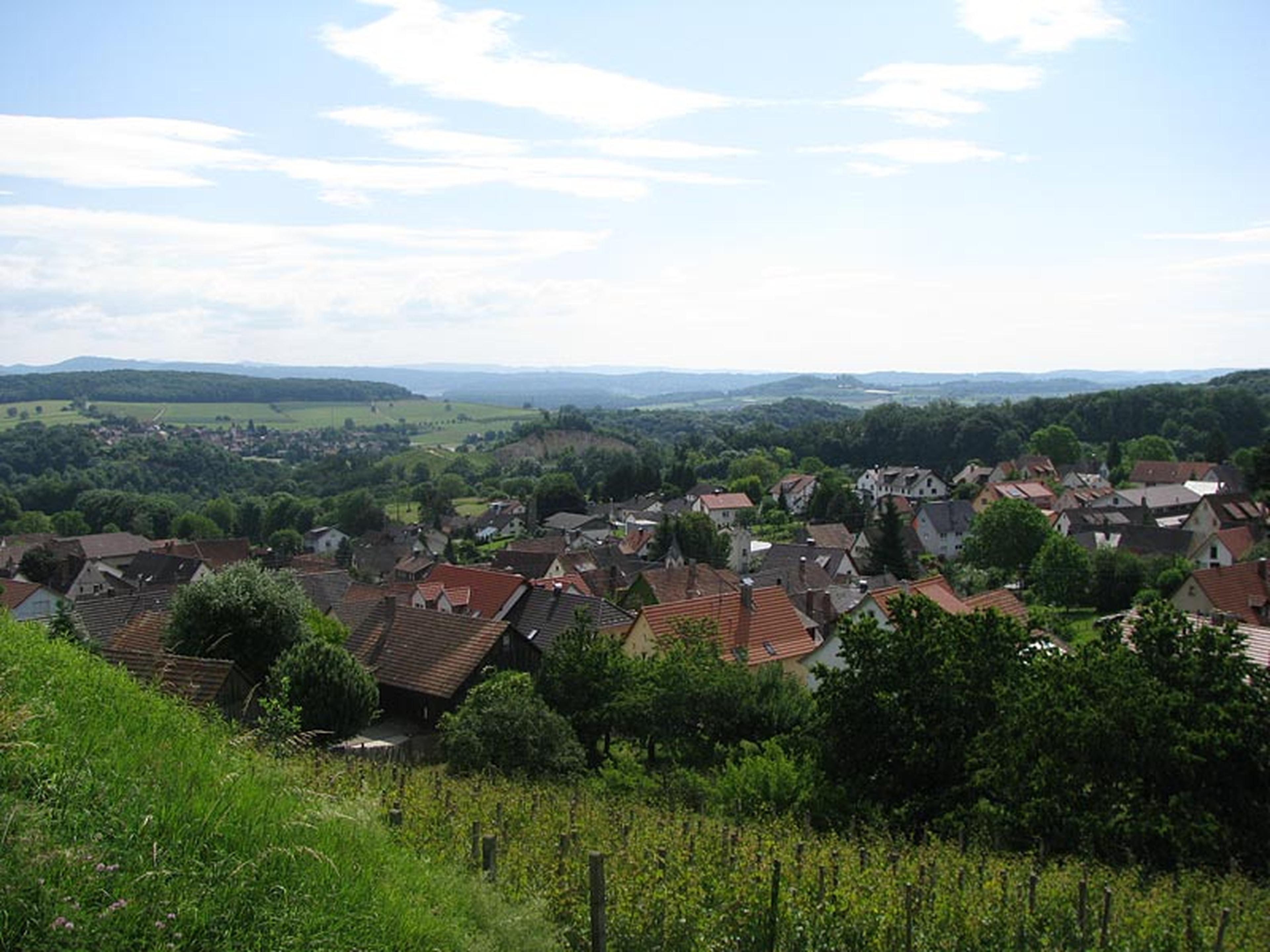 Ein malerischer Blick auf ein laendliches Dorf mit Haeusern mit roten Daechern, umgeben von ueppig gruenen Feldern und Huegeln unter einem teilweise bewoelkten Himmel.