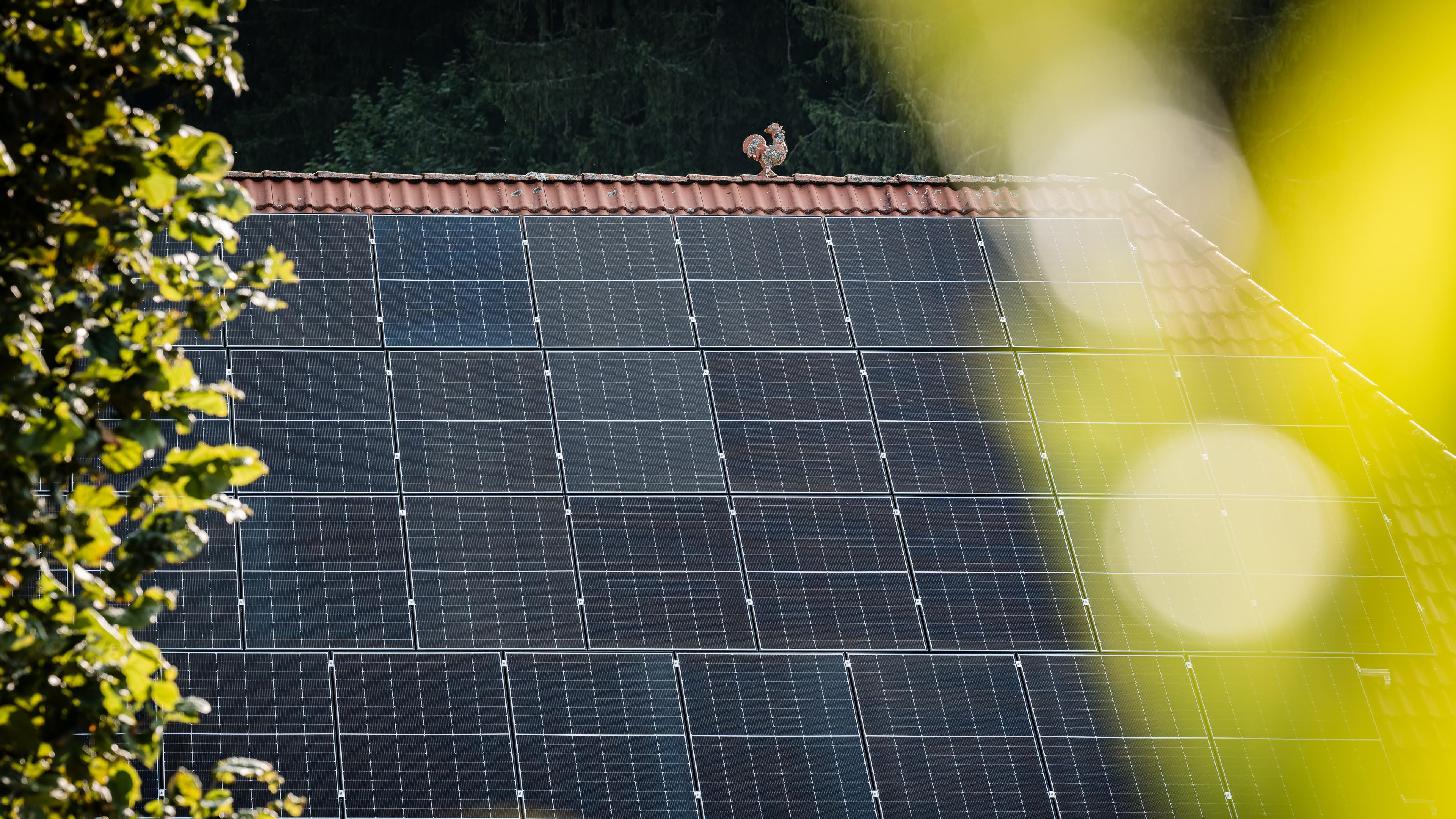 Ein Dach mit Photovoltaikanlagen, umrahmt von Bäumen, mit Keramik-Hahn am Giebel.