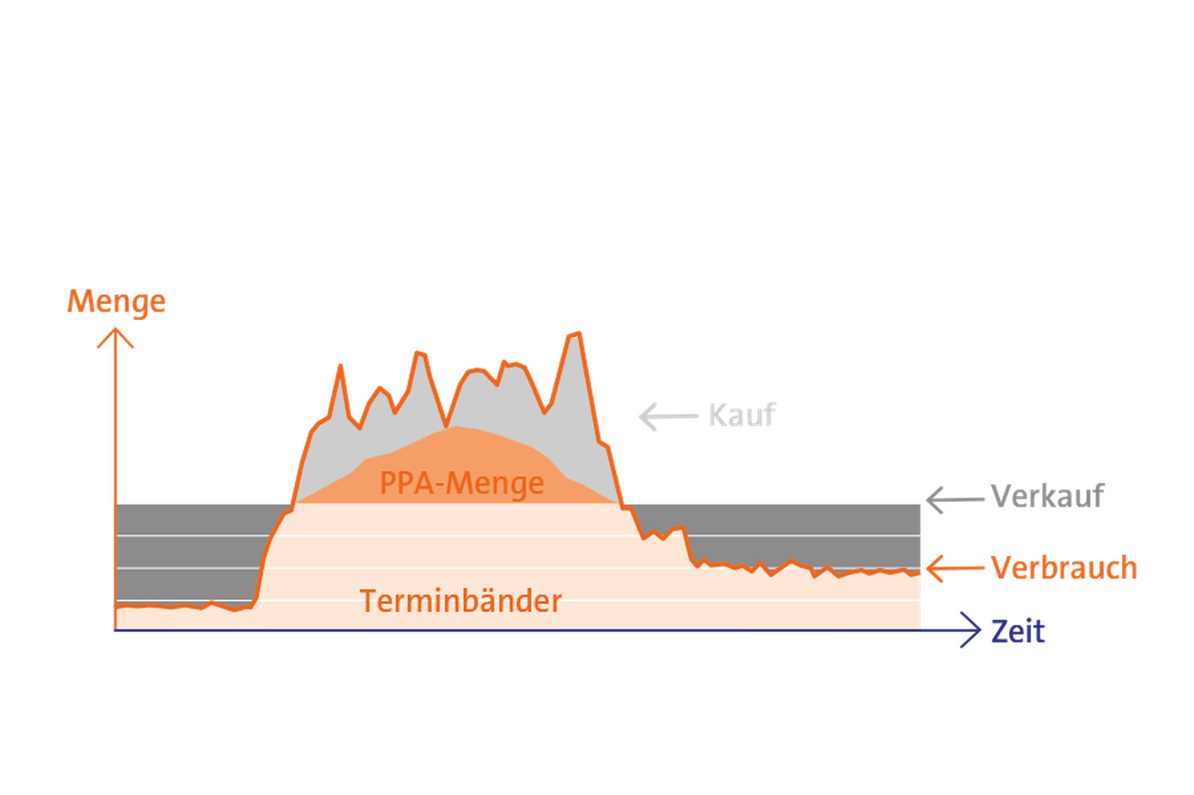 Infografik ZukunftPLUS PPA Beschaffungsmodell