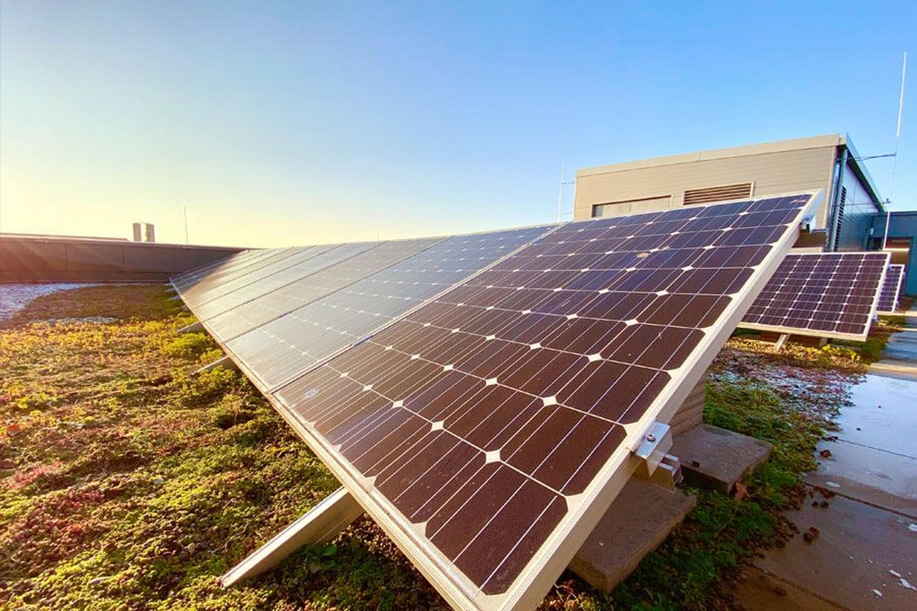 Solaranlage auf einem begrünten Dach