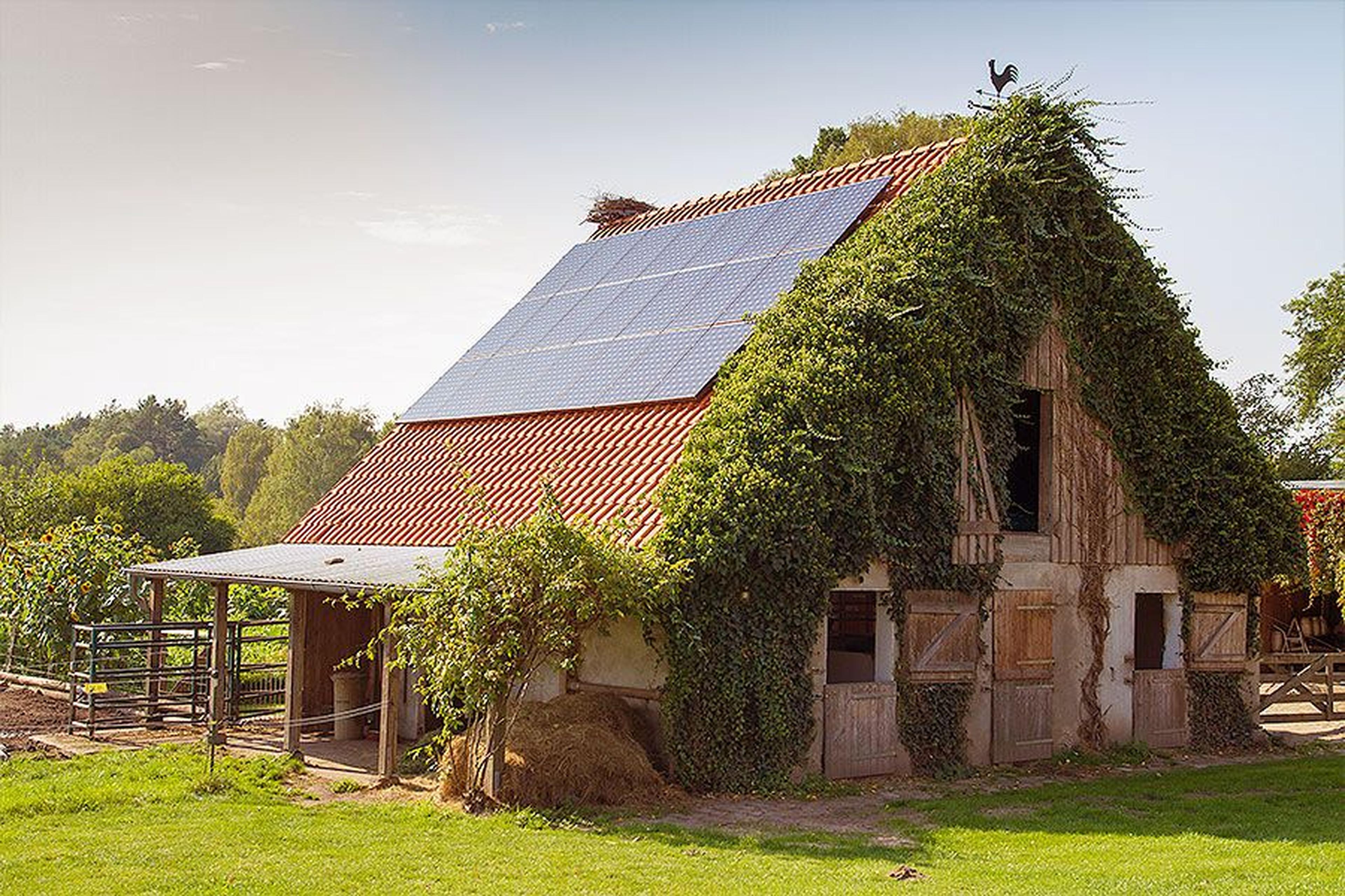 Eine rustikale Scheune mit efeubewachsenen Wänden, Sonnenkollektoren auf dem roten Dach, umgeben von üppigem Grün und einem klaren Himmel.
