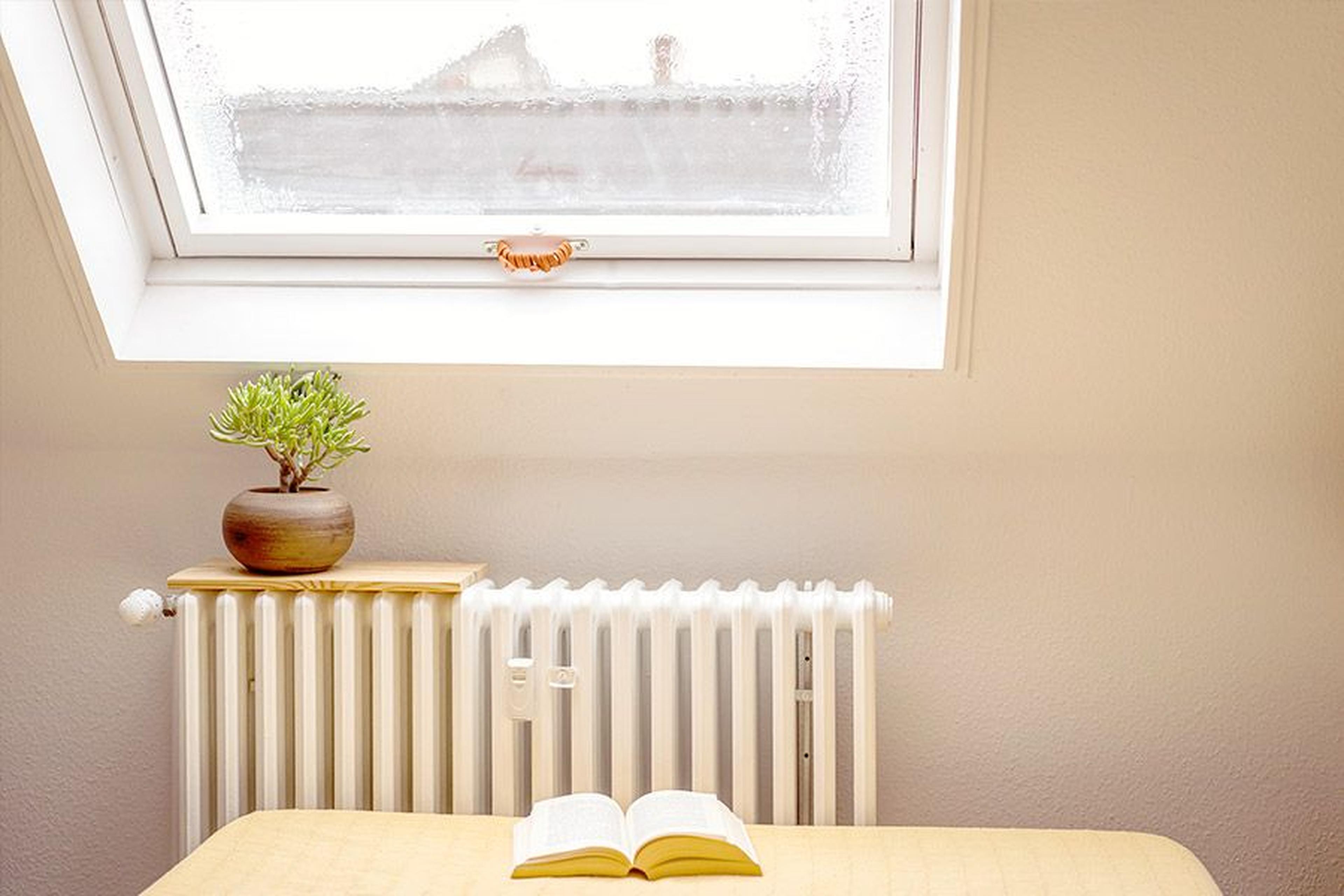 Ein gemütliches Zimmer mit einem Dachfenster, einer kleinen Topfpflanze auf einem Heizkörper und einem aufgeschlagenen Buch auf einer gelben Tagesdecke.