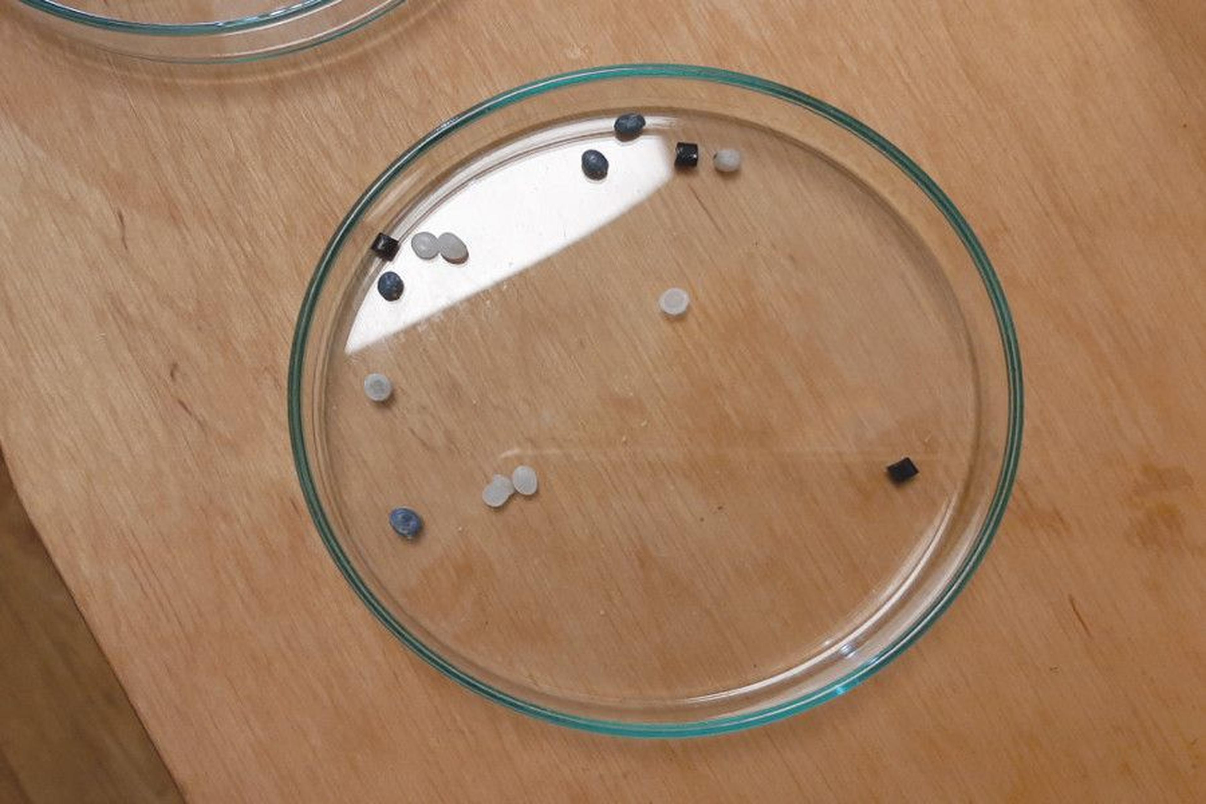 Kleine Kunststoffpellets (Mikroplastik) in einer Petrischale auf einem Holztisch