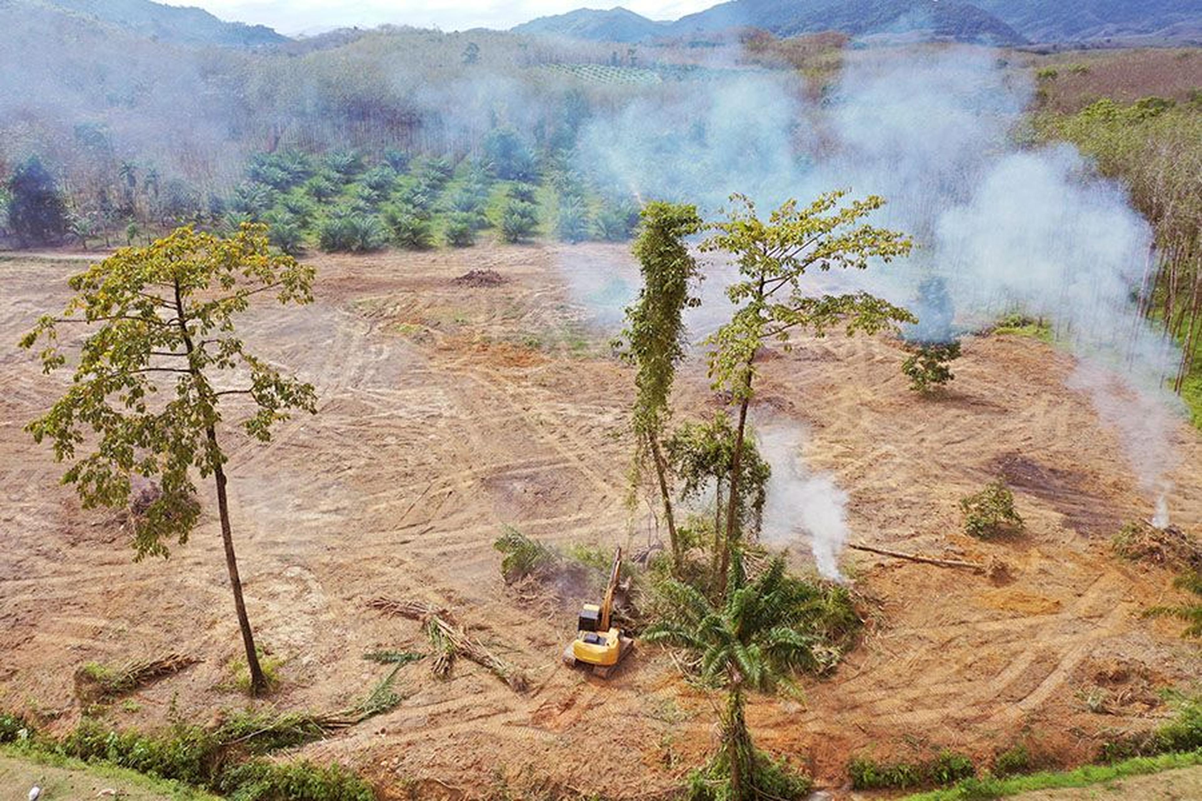 Luftaufnahme der Abholzung mit aufsteigendem Rauch, einem Bulldozer, der Bäume rodelt, und grünem Wald im Hintergrund unter bewölktem Himmel.