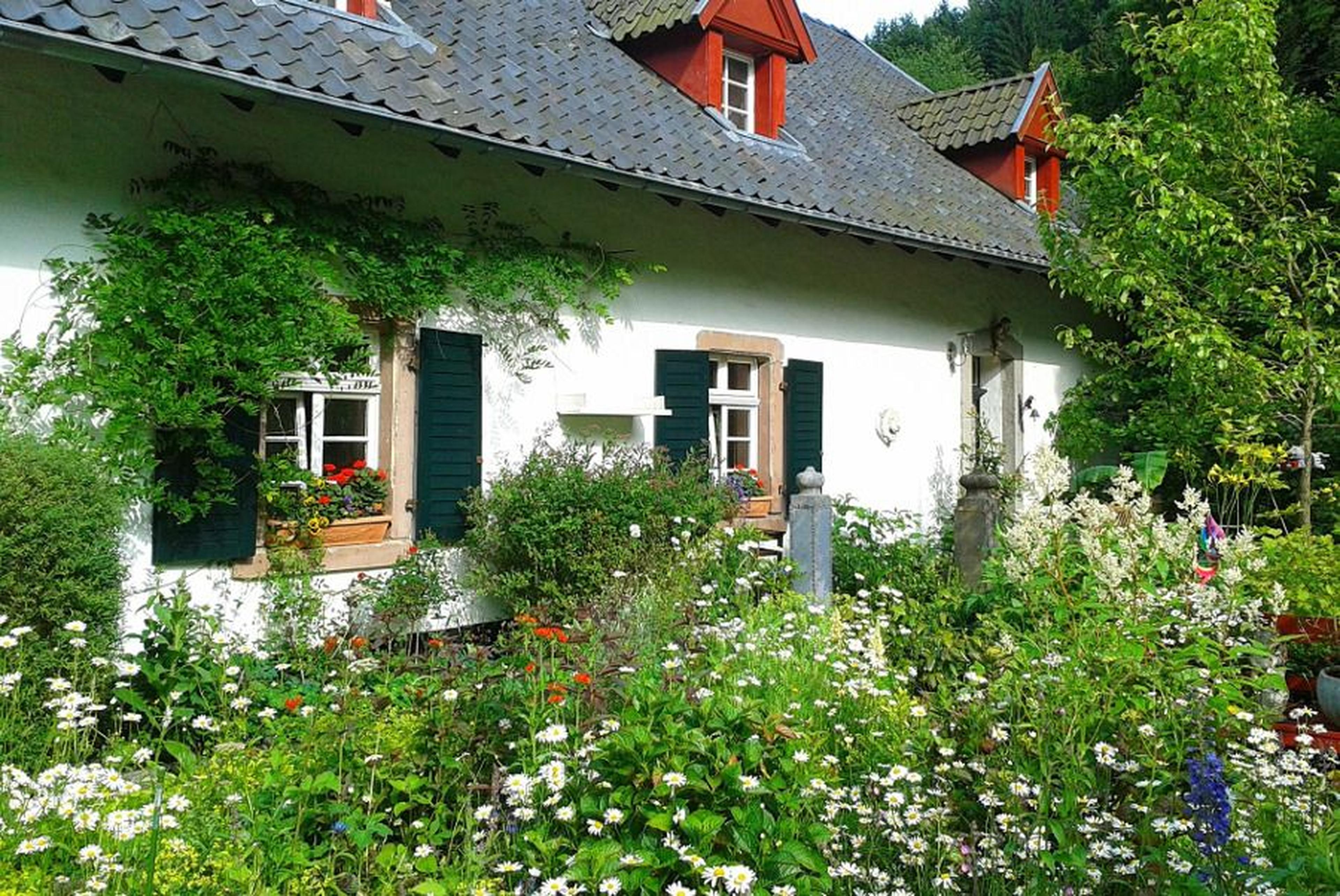Haus mit Wildblumengarten