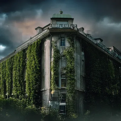 Event image for Season of the Witch 2025